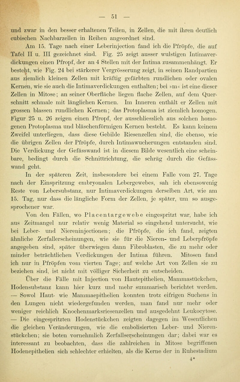 und zwar in den besser erhaltenen Teilen, in Zellen, die mit ihren deutlich cubischen Nachbarzellen in Reihen angeordnet sind. Am 15. Tage nach einer Leberiujection fand ich die Pfropfe, die auf Tafel II u. in gezeichnet sind. Fig. 25 zeigt ausser Moilstigen Intimaver- dickungen einen Pfropf, der an 4 Stellen mit der Intima zusammenhängt. Er besteht, wie Fig. 24 bei stärkerer Vergrösserung zeigt, in seinen Randpartien aus ziemlich kleinen Zellen mit kräftig gefärbten rundlichen oder ovalen Kernen, wie sie auch die Intimaverdickungen enthalten; bei »m« ist eine dieser Zellen in jSIitose; an seiner Oberfläche liegen flache Zellen, auf dem Quer- schnitt schmale mit länglichen Kernen. Im Inneren enthält er Zellen mit grossen blassen rundlichen Kernen; das Protoplasma ist ziemlich homogen. Figur 25 u. 26 zeigen einen Pfropf, der ausschliesslich aus solchen homo- genen Protoplasma und bläschenförmigen Kernen besteht. Es kann keinem Zweifel unterhegen, dass diese Gebilde Riesenzellen sind, die ebenso, wie die übrigen Zellen der Pfropfe, durch Intimawucherungen entstanden sind. Die Verdickung der Gefässwand ist in diesem Bilde wesentlich eine schein- bare, bedingt durch die Schnittrichtung, die schräg durch die Gefäss- wand geht. In der späteren Zeit, insbesondere bei einem FaUe vom 27. Tage nach der Einspritzung embryonalen Lebergewebes, sah ich ebensowenig Reste von Lebersubstanz, nur Intimaverdickungen derselben Art, wie am 15. Tag, nur dass die längliche Form der Zellen, je später, um so ausge- sprochener war. Von den Fällen, wo Placentargewebe eingespritzt war, habe ich aus Zeitmangel nur relativ wenig Material so eingehend untersucht, wie bei Leber- und Niereninjectionen; die Pfropfe, die ich fand, zeigten ähnliche Zerfallerscheinungen, wie sie für die Nieren- und Leberpfröpfe angegeben sind, später überwiegen dann Fibroblasten, die zu mehr oder minder beträchtlichen Verdickungen der Intima führen. Mitosen fand ich nur in Pfi'öpfen vom vierten Tage; auf welche Art von Zellen sie zu beziehen sind, ist nicht mit völliger Sicherheit zu entscheiden. Über die Fälle mit Injection von Hautepithelien, Mammastückchen, Hodensubstanz kann hier kurz und mehr summarisch berichtet werden. — Sowol Haut- \\de Mammaepithelien konnten trotz eifrigen Suchens in den Lungen nicht wiedergefunden werden, man fand nur mehr oder weniger reichlich Knochenmarksriesenzellen und ausgedehnt Leukocytose. — Die eingespritzten Hodenstückchen zeigten dagegen im Wesentlichen die gleichen Veränderungen, wie die emboHsierten Leber- und Nieren- stückchen; sie boten vornehmlich Zerfallserscheinungen dar; dabei war es interessant zu beobachten, dass die zahheichen in Mitose begriffenen Hodenepithehen sich schlechter erhielten, als die Kerne der in Ruliestadium