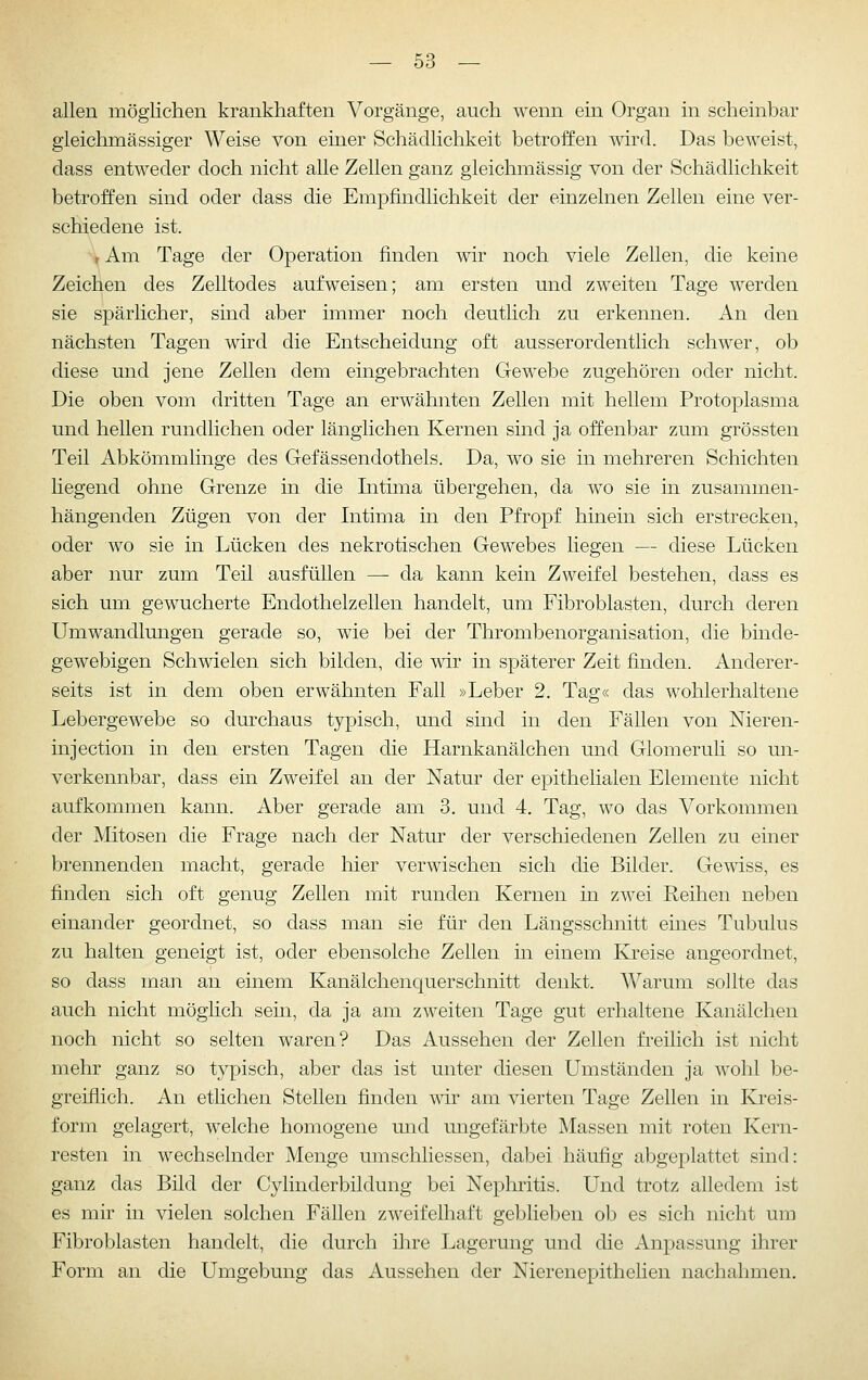 allen möglichen krankhaften Vorgänge, auch wenn ein Organ in scheinbar gleichmässiger Weise von einer Schädlichkeit betroffen wird. Das beweist, dass entweder doch nicht alle Zellen ganz gleichmässig von der Schädlichkeit betroffen sind oder dass die Empfindlichkeit der einzelnen Zellen eine ver- schiedene ist. t Am Tage der Operation finden wir noch viele Zellen, die keine Zeichen des Zelltodes aufweisen; am ersten und zweiten Tage werden sie spärlicher, sind aber immer noch deutlich zu erkennen. An den nächsten Tagen wird die Entscheidung oft ausserordentlich schwer, ob diese und jene Zellen dem eingebrachten Gewebe zugehören oder nicht. Die oben vom dritten Tage an erwähnten Zellen mit hellem Protoplasma und hellen rundlichen oder länglichen Kernen sind ja offenbar zum grössten Teil Abkömmlinge des Gefässendothels. Da, wo sie in mehreren Schichten hegend ohne Grenze in die Intima übergehen, da wo sie in zusammen- hängenden Zügen von der Intima in den Pfropf hinein sich erstrecken, oder wo sie in Lücken des nekrotischen Gewebes liegen — diese Lücken aber nur zum Teü ausfüllen — da kann kein Zweifel bestehen, dass es sich um gewucherte Endothelzellen handelt, um Fibroblasten, durch deren Umwandlungen gerade so, wie bei der Thrombenorganisation, die binde- gewebigen Schwielen sich bilden, die wir in späterer Zeit finden. Anderer- seits ist in dem oben erwähnten Fall »Leber 2. Tag« das wohlerhaltene Lebergewebe so durchaus typisch, und sind in den Fällen von Nieren- injectiou in den ersten Tagen die Harnkanälchen und Glomeruli so un- verkennbar, dass ein Zweifel an der Natur der epithelialen Elemente nicht aufkommen kann. Aber gerade am 3. und 4. Tag, wo das Vorkommen der Mitosen die Frage nach der Natur der verschiedenen Zellen zu einer brennenden macht, gerade hier verwischen sich die Bilder. Gewiss, es finden sich oft genug Zellen mit runden Kernen in zwei Reihen neben einander geordnet, so dass man sie für den Längsschnitt eines Tubulus zu halten geneigt ist, oder ebensolche Zellen in einem Kreise angeordnet, so dass man an einem Kanälchenquerschnitt denkt. Warum sollte das auch nicht möglich sein, da ja am zweiten Tage gut erhaltene Kanälchen noch nicht so selten waren? Das Aussehen der Zellen fi-eilich ist nicht mehr ganz so typisch, aber das ist unter diesen Umständen ja wohl be- greiflich. An etlichen Stellen finden wdr am vierten Tage Zellen in Kreis- form gelagert, welche homogene und ungefärbte Massen mit roten Kern- resten in wechselnder Menge umschliessen, dabei häufig abgeplattet sind: ganz das Bild der Cylinderbildung bei Nepliritis. Und trotz alledem ist es mir in vielen solchen Fällen zweifelhaft geblieben ob es sich nicht um Fibroblasten handelt, die durch ihre Lagerung und die Anpassung ihrer Form an die Umgebung das Aussehen der Nierenepithelien nachahmen.