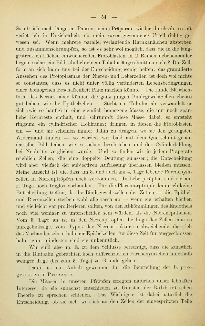 So oft ich nach längeren Pausen meine Präparate wieder durchsah, so oft geriet ich in Unsicherheit, ob mein zuvor gewonnenes Urteil richtig ge- wesen sei. AVenn mehrere parallel verlaufende Harnkanälchen absterben und zusammenschrumpfen, so ist es sehr wol möglich, dass die in die lang- gestreckten Lücken einwuchernden Fibroblasten in 2 Reihen nebeneüiander hegen, sodass ein Bild, ähnhch einem Tubuluslängsschnitt entsteht? Die Zell, form an sich kann uns bei der Entscheidung wenig helfen: das granuherte Aussehen des Protoplasmas der Nieren- und Leberzellen ist doch wol nichts so constantes, dass es nicht unter völlig veränderten Lebensbedingungen einer homogenen Beschaffenheit Platz machen könnte. Die runde Bläschen- form des Kernes aber können die ganz jungen Bindegewebszellen ebenso gut haben, wie die Epithelzellen. — Stirbt ein Tubulus ab, verwandelt er sich (wie so häufig) in eine ziemhch homogene Masse, die nur noch spär- liche Kernreste enthält, und schrumpft diese Masse dabei, so entsteht ringsum ein cylindrischer Hohhaum; dringen in diesen die Fibroblasten ein — und sie scheinen immer dahin zu dringen, wo sie den geringsten A\ iderstand finden — so werden wir bald auf dem Querschnitt genau dasselbe Bild haben, wie es soeben beschrieben und der Cylinderbüdung bei Nephritis verglichen wurde. Und so finden wir in jedem Präparate reichlich Zellen, die eine doppelte Deutung zulassen; die Entscheidung wird aber vielfach der subjectiven Auffassung überlassen bleiben müssen. Meine Ansicht ist die, dass am 3. und auch am 4. Tage lebende Parenchym- zellen in Nierenpfröpfen noch vorkommen. In Leberpfröpfen sind sie am 2. Tage noch fraglos vorhanden. Für die Placentarpfröpfe kann ich keine Entscheidung treffen, da die Bindegewebszellen der Zotten — die Epithel- und Riesenzellen sterben wohl alle rasch ab — wenn sie erhalten bleiben und vielleicht gar proliferieren sollten, von den Abkömmhngen des Endothels noch viel weniger zu unterscheiden sein würden, als die Nierenepithelien. Vom 5. Tage an ist in den Nierenpfröpfen die Lage der Zellen eine so unregelmässige, vom Typus der Nierenstruktur so abweichende, dass ich das Vorhandensein erhaltener Epithelzellen für diese Zeit für ausgeschlossen halte; zum mindesten sind sie unkenntlich. AVir sind also m. E. zu dem Schlüsse berechtigt, dass die künstlich in die Blutbahn gebrachten hoch differenzierten Parenchymzellen innerhalb weniger Tage (bis zum 5. Tage) zu Grunde gehen. Damit ist ein Anhalt gewonnen für die Beurteilung der b. pro-, gressiven Processe. Die Mitosen in unseren Pfropfen erregten natürlich unser lebhaftes Literesse, da sie zunächst entschieden zu Gunsten der Ribbert'sehen Theorie zu sprechen schienen. Das Wichtigste ist dabei natürhch die Entscheidung, ob sie sich wirklich an den Zellen der eingespritzten Teile