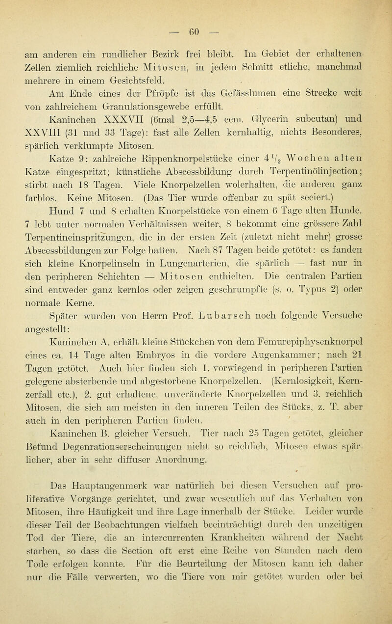am anderen ein rundlicher Bezirk frei bleibt. Im Gebiet der erhaltenen Zellen ziemlich reichliche Mitosen, in jedem Schnitt etliche, manchmal mehrere in einem Gesichtsfeld. Am Ende eines der Pfropfe ist das Gefässlumen eine Strecke weit von zahlreichem Granulationsgewebe erfüllt. Kaninchen XXXVII (6mal 2,5—4,5 ccm. Glycerin subcutan) und XXVIII (31 und 33 Tage): fast alle Zellen kernhaltig, nichts Besonderes, spärlich verklumpte Mitosen. Katze 9: zahlreiche Rippenknorpelstücke einer 4^2 Wochen alten Katze eingespritzt; künsthche Abscessbildung dm'ch TerpentinöHnjection; stirbt nach 18 Tagen. Viele Knorpelzellen wolerhalten, die anderen ganz farblos. Keine Mitosen. (Das Tier wm-de offenbar zu spät seciert.) Hund 7 mid 8 erhalten Knorpelstücke von einem 6 Tage alten Hunde. 7 lebt unter normalen Verhältnissen weiter, 8 bekommt eine grössere Zahl Terpentineinspritzungen, die in der ersten Zeit (zuletzt nicht mehr) grosse Abscessbildungen zur Folge hatten. Nach 87 Tagen beide getötet: es fanden sich kleine Knorpelinseln in Lungenarterien, die spärlich — fast nur in den peripheren Schichten — Mitosen enthielten. Die centralen Partien sind entweder ganz kernlos oder zeigen geschrumpfte (s. o. Typus 2) oder normale Kerne. Später wurden von Herrn Prof. Lu bar seh noch folgende Versuche angestellt: Kaninchen A. erhält kleine Stückchen von dem Femurepiphysenknorpel eines ca. 14 Tage alten Embryos in die vordere Augenkammer; nach 21 Tagen getötet. Auch hier finden sich 1. vorwiegend in peripheren Partien gelegene absterbende und abgestorbene Knorpelzellen. (Kernlosigkeit, Kern- zerfall etc.), 2. gut erhaltene, unveränderte KnorpelzeUen und 3. reichhch Mitosen, die sich am meisten in den inneren Teilen des Stücks, z. T. aber auch in den peripheren Partien finden. Kaninchen B. gleicher Versuch. Tier nach 25 Tagen getötet, gleicher Befund Degenrationserscheinungen nicht so reichhch, Mitosen etwas spär- licher, aber in sehr diffuser Anordnung. Das Hauptaugenmerk war natürlich bei diesen A^ersuchen auf pro- liferative Vorgänge gerichtet, und zwar wesentlich auf das Verhalten von Mitosen, üire Häufigkeit und ihre Lage innerhalb der Stücke. Leider wurde dieser Teil der Beobachtungen ^äelfach beeinträchtigt durch den unzeitigen Tod der Tiere, die an intercurrenten Ki-ankheiten während der Nacht starben, so dass die Section oft erst eine Reihe von Stunden nach dem Tode erfolgen konnte. Für die Beurteilung der Mitosen kann ich daher nur die Fälle verwerten, wo die Tiere von mir getötet wurden oder bei