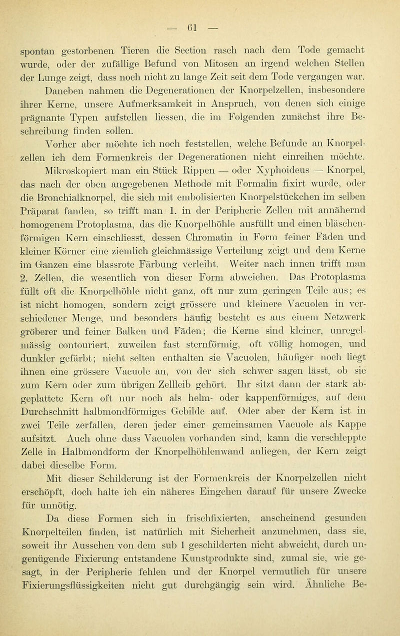 spontan gestorbenen Tieren die Section rasch nach dem Tode gemacht wurde, oder der zufälhge Befund von Mitosen an irgend welchen Stellen der Lunge zeigt, dass noch nicht zu lange Zeit seit dem Tode vergangen war. Daneben nahmen die Degenerationen der Knorpelzellen, insbesondere ihrer Kerne, unsere Aufmerksamkeit in Anspruch, von denen sich einige prägnante Typen aufstellen Hessen, die im Folgenden zunächst ihre Be- schreibung finden sollen. Vorher aber möchte ich noch feststellen, welche Befunde an Knorpel- zellen ich dem Formenkreis der Degenerationen nicht einreihen möchte. Mikroskopiert man ein Stück Rippen — oder Xyphoideus — Knorpel, das nach der oben angegebenen Methode mit Formalin fixirt wurde, oder die Bronchialknorpel, die sich mit embolisierten Knorpelstückchen im selben Präparat fanden, so trifft man 1. in der Peripherie Zellen mit annähernd homogenem Protoplasma, das die Knorpelhöhle ausfüllt und einen bläschen- förmigen Kern einschliesst, dessen Chromatin in Form feiner Fäden und kleiner Körner eine ziemhch gleichmässige Verteilung zeigt und dem Kerne im Ganzen eine blassrote Färbung verleiht. Weiter nach innen trifft man 2. Zellen, die wesentHch von dieser Form abweichen. Das Protoplasma füllt oft die Knorpelhöhle nicht ganz, oft nur zum geringen Teile aus; es ist nicht homogen, sondern zeigt grössere und kleinere Vacuolen in ver- schiedener Menge, und besonders häufig besteht es aus einem Netzwerk gröberer und feiner Balken und Fäden; die Kerne sind kleiner, unregel- mässig contouriert, zuweilen fast sternförmig, oft völhg homogen, und dunkler gefärbt; nicht selten enthalten sie Vacuolen, häufiger noch Hegt ihnen eine grössere Vacuole an, von der sich schwer sagen lässt, ob sie zum Kern oder zum übrigen Zellleib gehört. Ihr sitzt dann der stark ab- geplattete Kern oft nur noch als heim- oder kappenförmiges, auf dem Durchschnitt halbmondförmiges Gebilde auf. Oder aber der Kern ist in zwei Teile zerfallen, deren jeder einer gemeinsamen Vacuole als Kappe aufsitzt. Auch ohne dass Vacuolen vorhanden sind, kann die verschleppte Zelle in Halbmondform der Knorpelhöhlenwand anliegen, der Kern zeigt dabei dieselbe Form. Mit dieser Schilderung ist der Formenkreis der Knorpelzeüen nicht erschöpft, doch halte ich ein näheres Eingehen darauf für unsere Zwecke für unnötig. Da diese Formen sich in frischfixierten, anscheinend gesunden Knorpelteilen finden, ist natürlich mit Sicherheit anzunehmen, dass sie, soweit ihr Aussehen von dem sub 1 geschilderten nicht abweicht, durch un- genügende Fixierung entstandene Kunstprodukte sind, zumal sie, wie ge- sagt, in der Peripherie fehlen und der Knorpel vermutlich für unsere Fixierunp-sflüssipfkeiten nicht gut durchgängig sein wird. AhnHche Be-