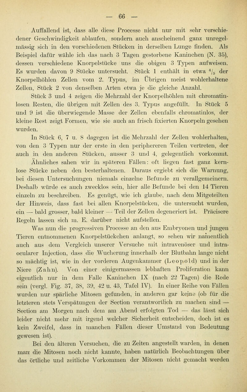 Auffallend ist, dass aUe diese Processe nicht nur mit sehr verschie- dener Geschwindigkeit ablaufen, sondern auch anscheinend ganz unregel- mässig sich in den verschiedenen Stücken in derselben Lunge finden. Als Beispiel dafür wähle ich das nach 3 Tagen gestorbene Kaninchen (N. 35), dessen verschiedene Knorpelstücke uns die obigen 3 Typen aufweisen. Es wurden davon 9 Stücke untersucht. Stück 1 enthält in etwa ^/g der Knorpelhöhlen Zellen vom 2. Typus, im Übrigen meist wohlerhaltene Zellen, Stück 2 von denselben Arten etwa je die gleiche Anzahl. Stück 3 und 4 zeigen die Mehrzahl der Knorj^elhöhlen mit chromatin- losen Resten, die übrigen mit Zellen des 3. Typus angefüllt. In Stück 5 und 9 ist die überwiegende Masse der Zellen ebenfalls chromatinlos, der kleine Rest zeigt Formen, wie sie auch an frisch fixierten Knorpeln gesehen wurden. In Stück 6, 7 u. 8 dagegen ist die Mehrzahl der Zellen wohlerhalten, von den 3 Typen nur der erste in den periphereren Teilen vertreten, der auch in den anderen Stücken, ausser 3 und 4, gelegentlich vorkommt. Ähnliches sahen wir in späteren Fällen: oft hegen fast ganz kern- lose Stücke neben den besterhaltenen. Daraus ergiebt sich die Warnung, bei diesen Untersuchungen niemals emzelne Befunde zu verallgemeinern. Deshalb würde es auch zwecklos sein, hier alle Befunde bei den 14 Tieren einzeln zu beschreiben. Es genügt, wie ich glaube, nach dem Mitgeteilten der Hinweis, dass fast bei allen Knorpelstücken, die untersucht wurden, ein — bald grosser, bald kleiner — Teil der Zellen degeneriert ist. Präcisere Regeln lassen sich m. E. darüber nicht aufstellen. Was nun die progressiven Processe an den aus Embryonen und jungen Tieren entnommenen Knorpelstückchen anlangt, so sehen wir nainentlich auch aus dem Vergleich unserer Versuche mit intravenöser und intra- ocularer Injection, dass die Wucherung innerhalb der Blutbahn lange nicht so mächtig ist, wie üi der vorderen Augenkammer (L e o p o 1 d) mid in der Niere (Zahn). Von einer einigermassen lebhaften Proliferation kann eigenthch nur in dem Falle Kaninchen IX (nach 22 Tagen) die Rede sein (vergl. Fig. 37, 38, 39, 42 u. 43, Tafel IV). In einer Reihe von Fällen wurden nur spärliche Mitosen gefunden, in anderen gar kejne (ob für die letzteren stets Verspätungen der Section verantwortüch zu machen sind — Section am Morgen nach dem am Abend erfolgten Tod — das lässt sich leider nicht mehr mit irgend welcher Sicherheit entscheiden, doch ist es kein Zweifel, dass in manchen Fällen dieser Umstand von Bedeutung gewesen ist). Bei den älteren Versuchen, die zu Zeiten angestellt warden, m denen man die Mitosen noch nicht kannte, haben natürlich Beobachtungen über das örthche und zeitliche Vorkommen der Mitosen nicht gemacht werden