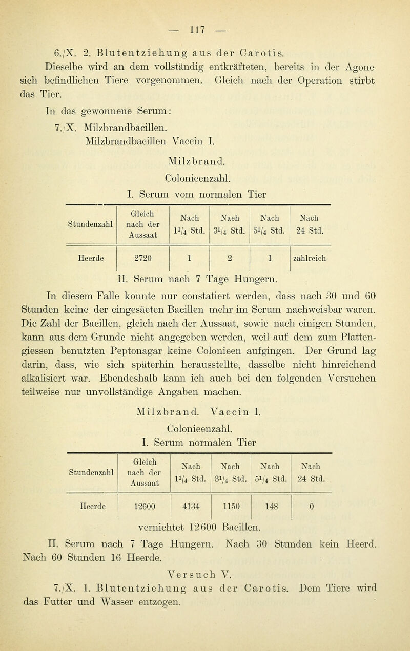 6./X. 2. Blutentziehung aus der Carotis. Dieselbe wird an dem vollständig entkräfteten, bereits in der Agone sich befindlichen Tiere vorgenommen. Gleich nach der Operation stirbt das Tier. In das gewonnene Serum: 7./X. Milzbrandbacillen. Milzbrandbacillen Vaccin I. Milzbrand. Colonieenzahl. I. Serum vom normalen Tier Stundenzahl Gleich nach der Aussaat Nach 11/4 Std. Naeh 31/4 Std. Nach 51/4 Std. Nach 24 Std. Heerde 2720 1 2 1 zahlreich II. Serum nach 7 Tage Hungern. In diesem Falle konnte nur constatiert werden, dass nach 30 und 60 Stunden keine der eingesäeten Bacillen mehr im Serum nachweisbar waren. Die Zahl der Bacillen, gleich nach der Aussaat, sowie nach einigen Stunden, kann aus dem Grunde nicht angegeben werden, weil auf dem zum Platten- giessen benutzten Peptonagar keine Colonieen aufgingen. Der Grund lag darin, dass, wie sich späterhin herausstellte, dasselbe nicht hmreichend alkahsiert war. Ebendeshalb kann ich auch bei den folgenden Versuchen teilweise nur unvollständige Angaben machen. Milzbrand. Vaccin I. Colonieenzahl. I. Serum normalen Tier Stundenzahl Gleich nach der Aussaat Nach 11/4 Std. Nach 31/4 Std. Nach 51/4 Std. Nach 24 Std. Heerde 12600 4134 1150 148 0 vernichtet 12600 Bacillen. II. Serum nach 7 Tage Hungern. Nach 30 Stunden kein Heerd. Nach 60 Stunden 16 Heerde. Versuch V. 7./X. 1. Blutentziehung aus der Carotis. Dem Tiere wird das Futter und Wasser entzogen.