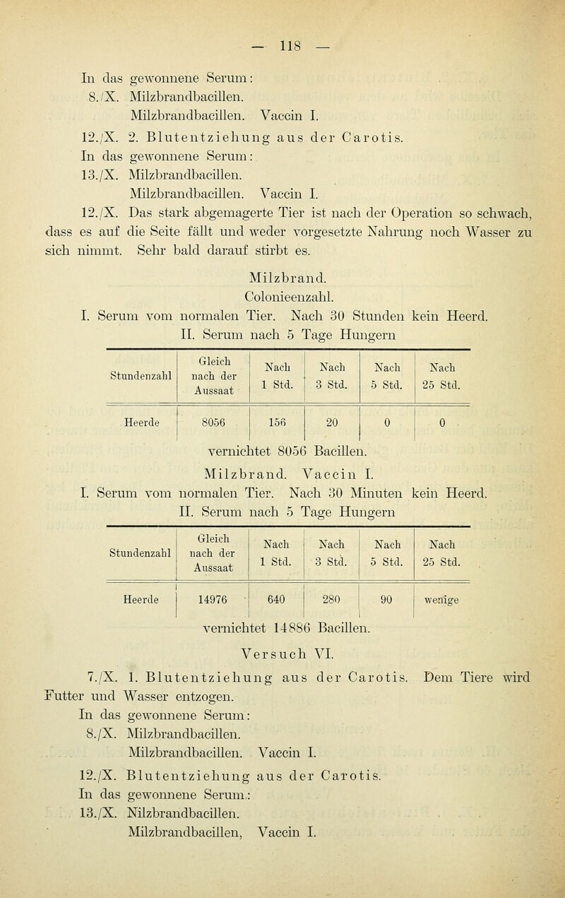 In das gewonnene Serum: 8./X. Milzbrandbacillen. Milzbrandbacillen. Vaccin I. 12./X. 2. Blutentziehung aus der Carotis. In das gewonnene Serum: 13./X. Milzbrandbacillen. Milzbrandbacillen. Vaccin I. 12./X. Das stark abgemagerte Tier ist nach der Operation so schwach, dass es auf die Seite fällt und weder vorgesetzte Nahrung noch Wasser zu sich nimmt. Sehr bald darauf stirbt es. Milzbrand. Colonieenzahl. I. Serum vom normalen Tier. Nach 30 Stunden kein Heerd. IL Serum nach 5 Tage Hungern Stundenzahl Gleich nach der Aussaat Nach 1 Std. Nach 3 Std. Nach 5 Std. Nach 25 Std. Heerde 8056 15o 20 0 0 . vernichtet 8056 Bacillen. Milzbrand. Vaccin I. Serum vom normalen Tier. Nach 30 Minuten kein Heerd. II. Serum nach 5 Tage Hungern Stundenzahl Gleich nach der Aussaat Nach 1 Std. Nach 3 Std. Nach 5 Std. Nach 25 Std. Heerde 14976 ' 640 280 90 wenige vernichtet 14886 Bacillen. Versuch VI. 7./X. 1. Blutentziehung aus der Carotis. Dem Tiere wird Futter und Wasser entzogen. In das gewonnene Serum: 8./X. Milzbrandbacillen. Milzbrandbacillen. Vaccin I. 12./X. Blutentziehung aus der Carotis. In das gewonnene Serum,: 13./X. Nilzbrandbacillen. Milzbrandbacillen, Vaccin I.