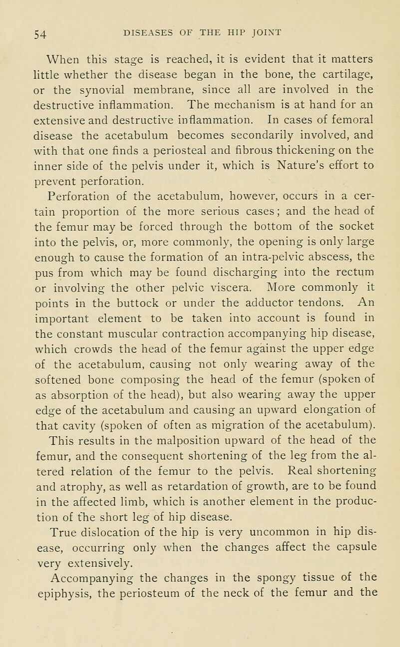 When this stage is reached, it is evident that it matters little whether the disease began in the bone, the cartilage, or the synovial membrane, since all are involved in the destructive inflammation. The mechanism is at hand for an extensive and destructive inflammation. In cases of femoral disease the acetabulum becomes secondarily involved, and with that one finds a periosteal and fibrous thickening on the inner side of the pelvis under it, which is Nature's effort to prevent perforation. Perforation of the acetabulum, however, occurs in a cer- tain proportion of the more serious cases; and the head of the femur may be forced through the bottom of the socket into the pelvis, or, more commonly, the opening is only large enough to cause the formation of an intra-pelvic abscess, the pus from which may be found discharging into the rectum or involving the other pelvic viscera. ]More commonly it points in the buttock or under the adductor tendons. An important element to be taken into account is found in the constant muscular contraction accompanying hip disease, which crowds the head of the femur against the upper edge of the acetabulum, causing not only wearing away of the softened bone composing the head of the femur (spoken of as absorption of the head), but also wearing away the upper edge of the acetabulum and causing an upward elongation of that cavity (spoken of often as migration of the acetabulum). This results in the malposition upward of the head of the femur, and the consequent shortening of the leg from the al- tered relation of the femur to the pelvis. Real shortening and atrophy, as well as retardation of growth, are to be found in the affected limb, which is another element in the produc- tion of the short leg of hip disease. True dislocation of the hip is very uncommon in hip dis- ease, occurring only when the changes affect the capsule very extensively. Accompanying the changes in the spongy tissue of the epiphysis, the periosteum of the neck of the femur and the