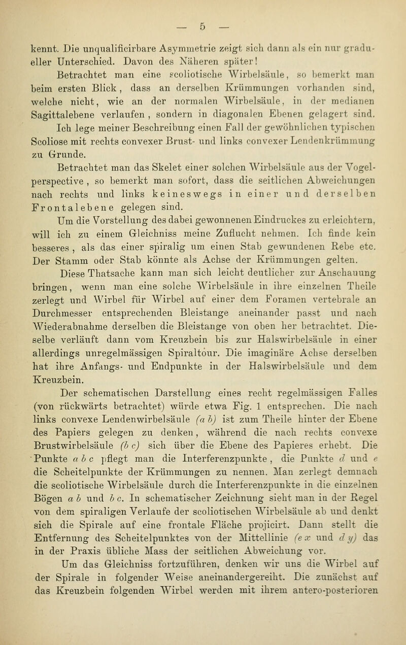 kennt. Die unqualificirbare Asymmetrie zeigt sich dann als ein nur gradu- eller Unterschied. Davon des Näheren später! Betrachtet man eine scoliotische Wirbelsäule, so bemerkt man beim ersten Blick, dass an derselben Krümmungen vorhanden sind, welche nicht, wie an der normalen Wirbelsäule, in der medianen Sagittalebene verlaufen , sondern in diagonalen Ebenen gelagert sind. Ich lege meiner Beschreibung einen Fall der gewöhnlichen typischen Scoliose mit rechts convexer Brust- und links convexer Lendenkrümmung zu Grunde. Betrachtet man das Skelet einer solchen Wirbelsäule aus der Vogel- perspective , so bemerkt man sofort, dass die seitlichen Abweichungen nach rechts und links keineswegs in einer und derselben Frontalebene gelegen sind. Um die Vorstellung des dabei gewonnenen Eindruckes zu erleichtern, will ich zu einem Grleichniss meine Zuflucht nehmen. Ich finde kein besseres , als das einer spiralig um einen Stab gewundenen Rebe etc. Der Stamm oder Stab könnte als Achse der Krümmungen gelten. Diese Thatsache kann man sich leicht deutlicher zur Anschauung bringen, wenn man eine solche Wirbelsäule in ihre einzelnen Theile zerlegt und Wirbel für Wirbel auf einer dem Foramen vertebrale an Durchmesser entsprechenden Bleistange aneinander passt und nach Wiederabnahme derselben die Bleistange von oben her betrachtet. Die- selbe verläuft dann vom Kreuzbein bis zur Halswirbelsäule in einer allerdings unregelmässigen Spiraltour. Die imaginäre Achse derselben hat ihre Anfangs- und Endpunkte in der Halswirbelsäule und dem Kreuzbein. Der schematischen Darstellung eines recht regelmässigen Falles (von rückwärts betrachtet) würde etwa Fig. 1 entsprechen. Die nach links convexe Lendenwirbelsäule (a b) ist zum Theile hinter der Ebene des Papiers gelegen zu denken, während die nach rechts convexe Brustwirbelsäule (b c) sich über die Ebene des Papieres erhebt. Die Punkte ab c pflegt man die Interferenzpunkte , die Punkte d und e die Scheitelpunkte der Krümmungen zu nennen. Man zerlegt demnach die scoliotische Wirbelsäule durch die Interferenzpunkte in die einzelnen Bögen a b und b c. In schematischer Zeichnung sieht man in der Regel von dem spiraligen Verlaufe der scoliotischen Wirbelsäule ab und denkt sich die Spirale auf eine frontale Fläche projicirt. Dann stellt die Entfernung des Scheitelpunktes von der Mittellinie (ex und d y) das in der Praxis übliche Mass der seitlichen Abweichung vor. Um das Grleichniss fortzuführen, denken wir uns die Wirbel auf der Spirale in folgender Weise aneinandergereiht. Die zunächst auf das Kreuzbein folgenden Wirbel werden mit ihrem antero-posterioren