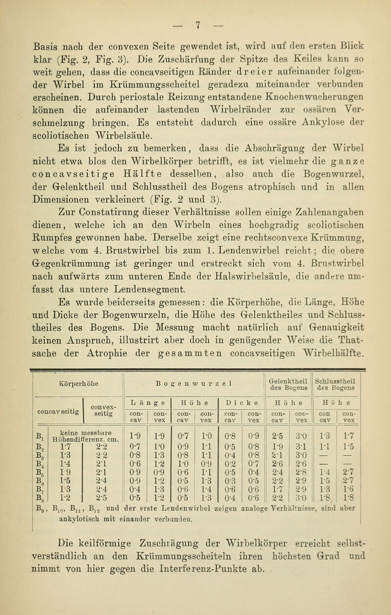 Basis nach der convexen Seite gewendet ist, wird auf den ersten Blick klar (Fig. 2, Fig. 3). Die Zuschärfung der Spitze des Keiles kann so weit gehen, dass die concavseitigen Ränder dreier aufeinander folgen- der Wirbel im Krümmungsscheitel geradezu miteinander verbunden erscheinen. Durch periostale Reizung entstandene Knochenwucherungen können die aufeinander lastenden Wirbelränder zur ossären Ver- schmelzung bringen. Es entsteht dadurch eine ossäre Ankylose der scoliotischen Wirbelsäule. Es ist jedoch zu bemerken, dass die Abschrägung der Wirbel nicht etwa blos den Wirbelkörper betrifft, es ist vielmehr die ganze concavseitige Hälfte desselben, also auch die Bogenwurzel, der Gelenktheil und Schlusstheil des Bogens atrophisch und in allen Dimensionen verkleinert (Fig. 2 und 3). Zur Constatirung dieser Verhältnisse sollen einige Zahlenangaben dienen, welche ich an den Wirbeln eines hochgradig scoliotischen Rumpfes gewonnen habe. Derselbe zeigt eine rechtsconvexe Krümmung, welche vom 4. Brustwirbel bis zum 1. Lendenwirbel reicht; die obere Gegenkrümmung ist geringer und erstreckt sich vom 4. Brustwirbel nach aufwärts zum unteren Ende der Halswirbelsäule, die andere um- fasst das untere Lendensegment. Es wurde beiderseits gemessen: die Körperhöhe, die Länge, Höhe und Dicke der Bogenwurzeln, die Höhe des Gelenktheiles und Schluss- theiles des Bogens. Die Messung macht natürlich auf Genauigkeit keinen Anspruch, illustrirt aber doch in genügender Weise die That- sache der Atrophie der gesammten concavseitigen Wirbelhälfte. Körperhöhe Bogenwurzel Gelenktheil des Bogens Schlusstheil des Bogens concav seitig convex- seitig Länge con- cav keine messbare Höhendifferenz, cm. 1-7 1:3 1-4 19 1-5 1-3 1-2 B,„, ß, 2-2 2-2 21 2-1 2-4 2-4 2-5 B12 und 1-9 0-7 0-8 0-6 09 0-9 0-4 0-5 con- vex 1-9 l'O 1-3 1-2 0-9 12 1-3 1-2 Höhe con- cav 0-7 0-9 0-8 1-0 0-6 0-5 0-6 0-5 con- vex ro i-i ri 0-9 11 1-3 1-4 1-3 Dicke Höhe con- cav con- | con- vex ! cav con- vex Höhe con cav 0-8 0-5 0-4 0-2 0-5 0-3 0-6 0-4 2-7 2-7 16 T8 der erste Lendenwirbel zeigen analoge Verhältnisse, sind aber 0-9 0-8 0-8 0-7 0-4 0-5 0'6 0-6 2-5 3-0 T3 ! T9 31 11 2-1 3-0 — 2-6 2-6 — 2-4 2-8 1-4 2-2 2-9 T5 17 2-9 13 2-2 3-0 1-8 COD- vex 17 T5 ankylotisch mit einander verbanden. Die keilförmige Zuschrägung der Wirbelkörper erreicht selbst- verständlich an den Krümmungsscheiteln ihren höchsten Grad und nimmt von hier gegen die Interferenz-Punkte ab.