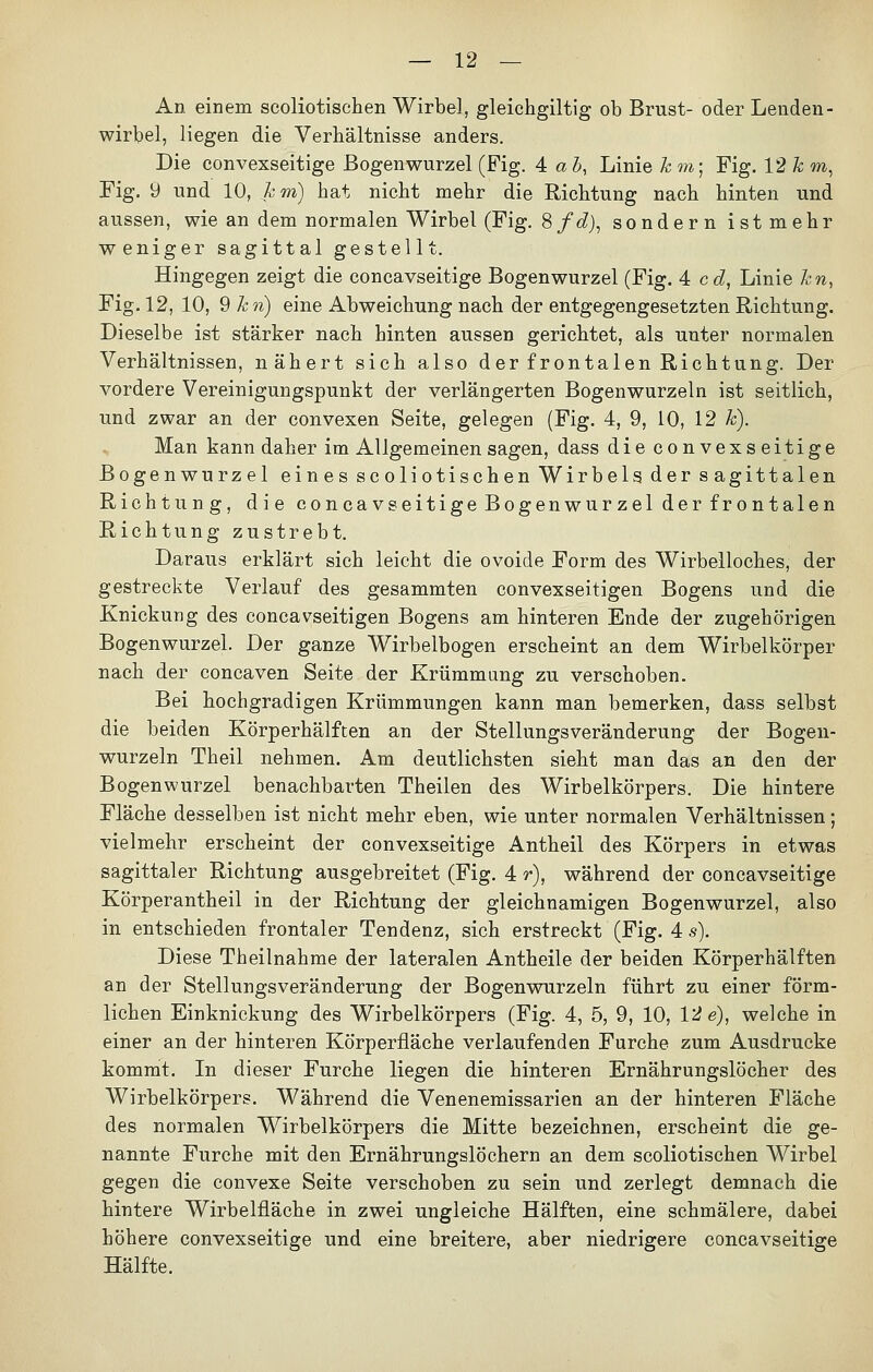 An einem scoliotisehen Wirbel, gleichgiltig ob Brust- oder Lenden- wirbel, liegen die Verhältnisse anders. Die convexseitige Bogenwurzel (Fig. 4 ab, Linie km; Fig. 12 km, Fig. 9 und 10, km) hat nicht mehr die Richtung nach hinten und aussen, wie an dem normalen Wirbel (Fig. Sfd), sondern ist mehr weniger sagittal gestellt. Hingegen zeigt die concavseitige Bogenwurzel (Fig. 4 cd, Linie kn, Fig. 12, 10, 9 kn) eine Abweichung nach der entgegengesetzten Richtung. Dieselbe ist stärker nach hinten aussen gerichtet, als unter normalen Verhältnissen, nähert sich also der frontalen Richtung. Der vordere Vereinigungspunkt der verlängerten Bogenwurzeln ist seitlich, und zwar an der convexen Seite, gelegen (Fig. 4, 9, 10, 12 k). Man kann daher im Allgemeinen sagen, dass die convexseitige Bogenwurzel eines scoliotisehen Wirbels, der sagittalen Richtung, die concavseitigeBogenwurzel der frontalen Richtung zustrebt. Daraus erklärt sich leicht die ovoide Form des Wirbelloches, der gestreckte Verlauf des gesammten convexseitigen Bogens und die Knickung des coneavseitigen Bogens am hinteren Ende der zugehörigen Bogenwurzel. Der ganze Wirbelbogen erscheint an dem Wirbelkörper nach der coneaven Seite der Krümmung zu verschoben. Bei hochgradigen Krümmungen kann man bemerken, dass selbst die beiden Körperhälften an der Stellungsveränderung der Bogen- wurzeln Theil nehmen. Am deutlichsten sieht man das an den der Bogenwurzel benachbarten Theilen des Wirbelkörpers. Die hintere Fläche desselben ist nicht mehr eben, wie unter normalen Verhältnissen; vielmehr erscheint der convexseitige Antheil des Körpers in etwas sagittaler Richtung ausgebreitet (Fig. 4 r), während der concavseitige Körperantheil in der Richtung der gleichnamigen Bogenwurzel, also in entschieden frontaler Tendenz, sich erstreckt (Fig. 4 s). Diese Theilnahme der lateralen Antheile der beiden Körperhälften an der Stellungsveränderung der Bogenwurzeln führt zu einer förm- lichen Einknickung des Wirbelkörpers (Fig. 4, 5, 9, 10, 12 e), welche in einer an der hinteren Körperfläche verlaufenden Furche zum Ausdrucke kommt. In dieser Furche liegen die hinteren Ernährungslöcher des Wirbelkörpers. Während die Venenemissarien an der hinteren Fläche des normalen Wirbelkörpers die Mitte bezeichnen, erscheint die ge- nannte Furche mit den Ernährungslöchern an dem scoliotisehen Wirbel gegen die convexe Seite verschoben zu sein und zerlegt demnach die hintere Wirbelfläche in zwei ungleiche Hälften, eine schmälere, dabei höhere convexseitige und eine breitere, aber niedrigere concavseitige Hälfte.