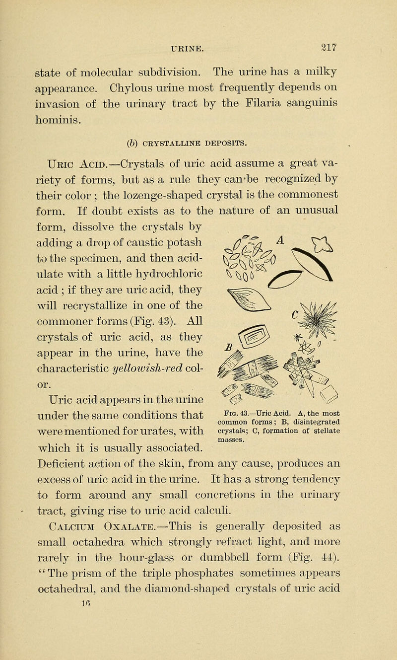 .U state of molecular subdivision. The urine has a milky appearance. Chylous urine most frequently depends on invasion of the urinary tract by the Filaria sanguinis hominis. (6) CRYSTALLINE DEPOSITS. Uric Acid.—Crystals of uric acid assume a great va- riety of forms, but as a rule they can-be recognized by their color ; the lozenge-shaped crystal is the commonest form. If doubt exists as to the nature of an unusual form, dissolve the crystals by adding a drop of caustic potash to the specimen, and then acid- ulate with a little hydrochloric acid ; if they are uric acid, they will recrystallize in one of the commoner forms (Fig. 43). All crystals of uric acid, as they appear in the urine, have the characteristic yellowish-red col- or. Uric acid appears in the urine under the same conditions that were mentioned for urates, with which it is usually associated. Deficient action of the skin, from any cause, produces an excess of uric acid in the urine. It has a strong tendency to form around any small concretions in the urinary tract, giving rise to uric acid calculi. Calcium Oxalate.—This is generally deposited as small octahedra which strongly refract light, and more rarely in the hour-glass or dumbbell form (Fig. 44).  The prism of the triple phosphates sometimes appears octahedral, and the diamond-shaped crystals of uric acid 16 Fig. 43.—Uric Acid. A, the most common forms; B, disintegrated crystals; C, formation of stellate masses.