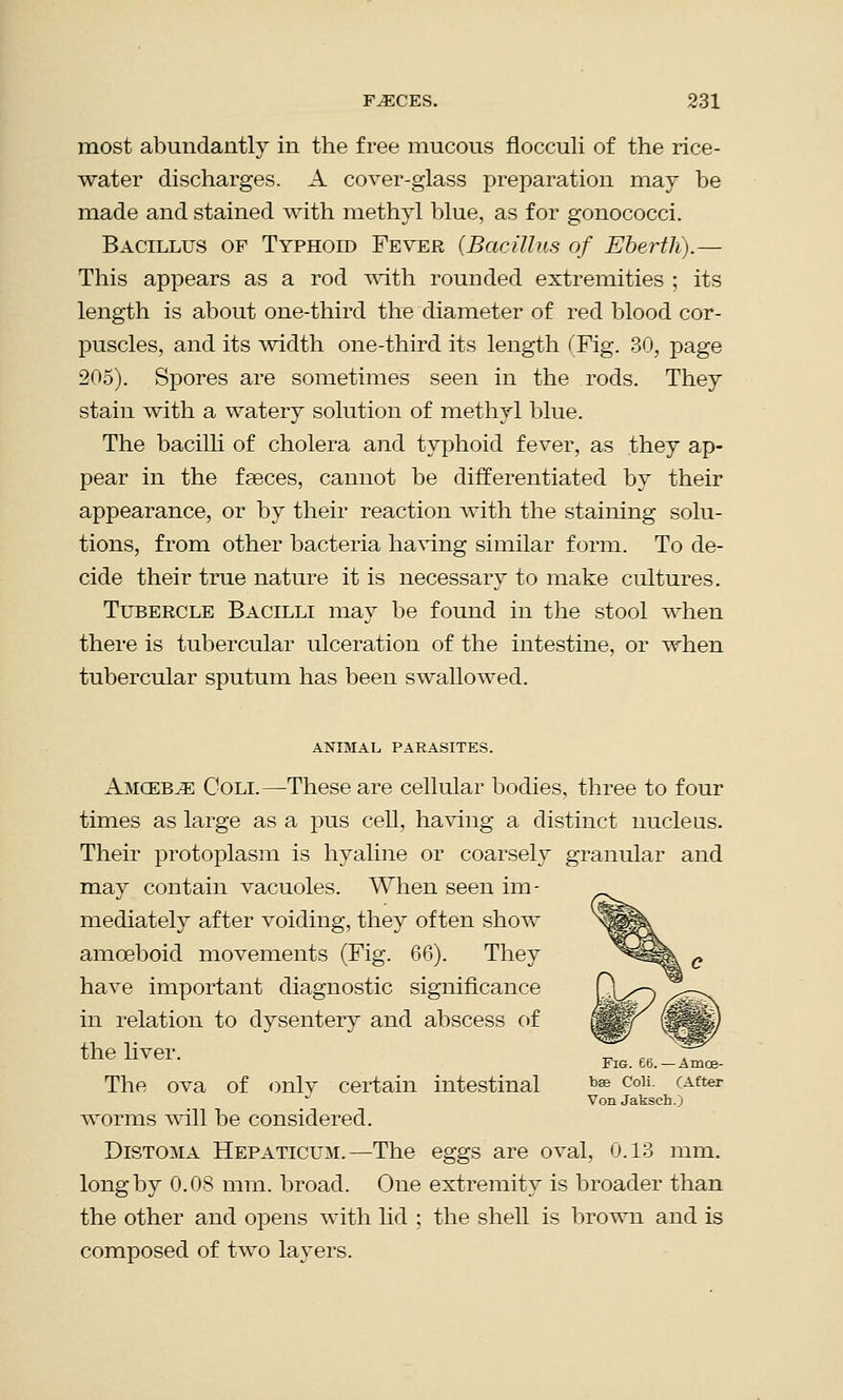 most abundantly in the free mucous flocculi of the rice- water discharges. A cover-glass preparation may be made and stained with methyl blue, as for gonococci. Bacillus of Typhoid Fever {Bacillus of Eberth).— This appears as a rod with rounded extremities ; its length is about one-third the diameter of red blood cor- puscles, and its width one-third its length (Fig. 30, page 205). Spores are sometimes seen in the rods. They stain with a watery solution of methyl blue. The bacilli of cholera and typhoid fever, as they ap- pear in the faeces, cannot be differentiated by their appearance, or by their reaction with the staining solu- tions, from other bacteria having similar form. To de- cide their true nature it is necessary to make cultures. Tubercle Bacilli may be found in the stool when there is tubercular ulceration of the intestine, or when tubercular sputum has been swallowed. ANIMAL PARASITES. AmcebvE Coll—These are cellular bodies, three to four times as large as a pus cell, having a distinct nucleus. Their protoplasm is hyaline or coarsely granular and may contain vacuoles. When seen im- mediately after voiding, they often show amoeboid movements (Fig. 66). They have important diagnostic significance in relation to dysentery and abscess of the liver. Fig. 66. — Amce- The ova of onlv certain intestinal b8e Coli- cAfter VonJakseh.) worms will be considered. Distoma Hepaticum.—The eggs are oval, 0.13 mm. long by 0.08 mm. broad. One extremity is broader than the other and opens with lid ; the shell is brown and is composed of two layers.