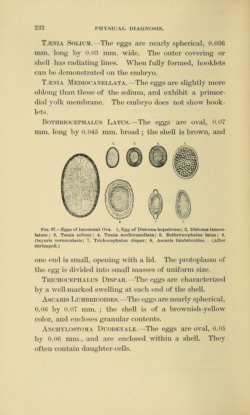 T^nia Solium.—The eggs are nearly spherical, 0.036 mm. long by 0.03 mm. wide. The outer covering or shell has radiating lines. When fully formed, hooklets can be demonstrated on the embryo. T^nia Mediocanellata.—The eggs are slightly more oblong than those of the solium, and exhibit a primor- dial yolk membrane. The embryo does not show hook- lets. Bothriocephalus Latus.—The eggs are oval, 0.07 mm. long by 0.045 mm. broad ; the shell is brown, and Fig. 67.—Eggs of Intestinal Ova. 1, Egg of Distoma hepaticum; 2, Distoma lanceo- latum; 3, Taenia solium; 4, Taenia mediocanellata; 6. Bothriocephalus latus; 6, Oxyuris vermicularis; 7, Trichocepbalus dispar; 8, Ascaris lumbricoides. (After Strumpell.) one end is small, opening with a lid. The protoplasm of the egg is divided into small masses of uniform size. Trichocephalus Dispar.—The eggs are characterized by a well-marked swelling at each end of the shell. Ascaris Lumbricoides.—The eggs are nearly spherical, 0.06 by 0.07 mm. ; the shell is of a brownish-yellow color, and encloses granular contents. Anchylostoma Duodenale.—The eggs are oval, 0.05 by 0.06 mm., and are enclosed within a shell. They often contain daughter-cells.
