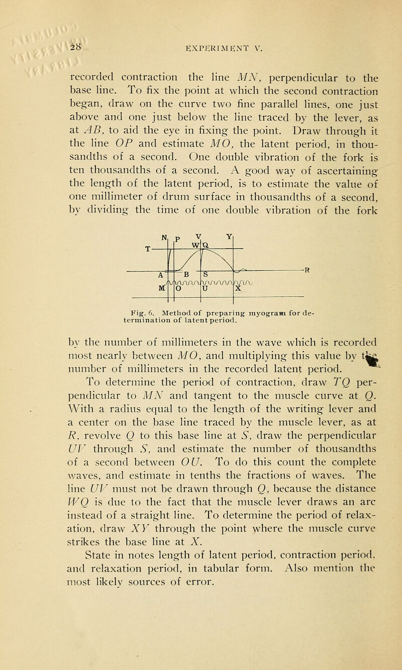 recorded contraction the line MN, perpendicular to the base line. To fix the point at which the second contraction began, draw on the curve two fine parallel lines, one just above and one just below the line traced by the lever, as at AB, to aid the eye in fixing the point. Draw through it the line OP and estimate MO, the latent period, in thou- sandths of a second. One double vibration of the fork is ten thousandths of a second. A good way of ascertaining the length of the latent period, is to estimate the value of one millimeter of drum surface in thousandths of a second, by dividing the time of one double vibration of the fork Fig. 6. Method of preparing myogram for de- termination of latent period. by the number of millimeters in the wave which is recorded most nearly between MO, and multiplying this value by t4^ number of millimeters in the recorded latent period. To detenPiine the period of contraction, draw TQ per- pendicular to MN and tangent to the muscle curve at Q. With a radius equal to the length of the writing lever and a center on the base line traced by the muscle lever, as at R, revolve Q to this base line at S. draw the perpendicular UV through S, and estimate the number of thousandths of a second between OU. To do this count the complete waves, and estimate in tenths the fractions of waves. The line UV must not be drawn through Q, because the distance WQ is due to the fact that the muscle lever draws an arc instead of a straight line. To determine the period of relax- ation, draw XY through the point where the muscle curve strikes the base line at X. State in notes length of latent period, contraction period, and relaxation period, in tabular form. Also mention the most likelv sources of error.