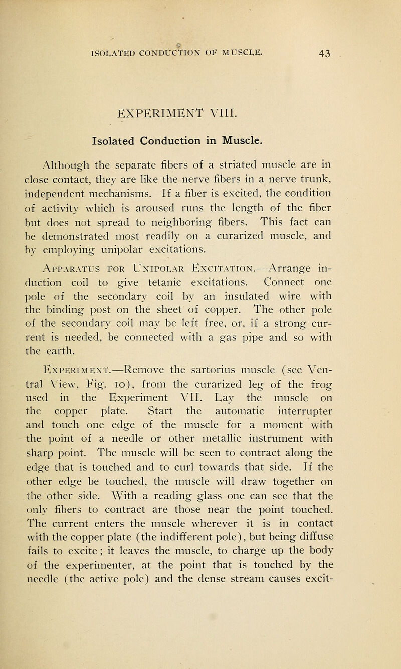 EXPERIMENT VIII. Isolated Conduction in Muscle. Although the separate fibers of a striated muscle are in close contact, they are like the nerve fibers in a nerve trunk, independent mechanisms. If a fiber is excited, the condition of activity which is aroused runs the length of the fiber but does not spread to neighboring fibers. This fact can be demonstrated most readily on a curarized muscle, and by employing unipolar excitations. Apparatus for Unipolar Excitation.—Arrange in- duction coil to give tetanic excitations. Connect one pole of the secondary coil by an insulated wire with the binding post on the sheet of copper. The other pole of the secondary coil may be left free, or, if a strong cur- rent is needed, be connected with a gas pipe and so with the earth. Experiment.—Remove the sartorius muscle (see Ven- tral \'iew. Fig. lo), from the curarized leg of the frog used in the Experiment VII. Lay the muscle on the copper plate. Start the automatic interrupter and touch one edge of the muscle for a moment with the point of a needle or other metallic instrument with sharp point. The muscle will be seen to contract along the edge that is touched and to curl towards that side. If the other edge be touched, the muscle will draw together on the other side. With a reading glass one can see that the only fibers to contract are those near the point touched. The current enters the muscle wherever it is in contact with the copper plate (the indififerent pole), but being diffuse fails to excite; it leaves the muscle, to charge up the body of the experimenter, at the point that is touched by the needle (the active pole) and the dense stream causes excit-