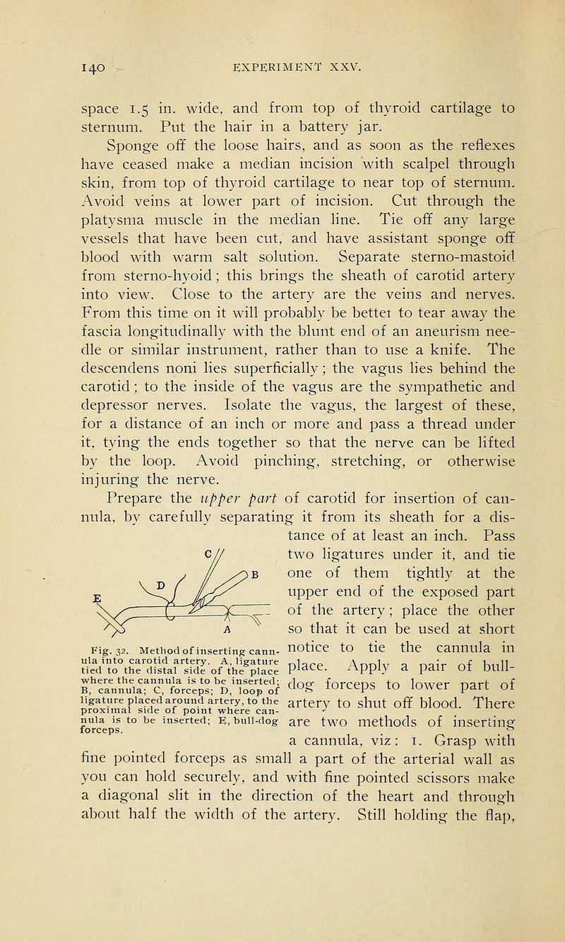 space 1.5 in. wide, and from top of thyroid cartilage to sternum. Put the hair in a battery jar. Sponge ofif the loose hairs, and as soon as the reflexes have ceased make a median incision with scalpel through skin, from top of thyroid cartilage to near top of sternum. Avoid veins at lower part of incision. Cut through the platysma muscle in the median line. Tie off any large vessels that have been cut, and have assistant sponge off blood with warm salt solution. Separate sterno-mastoid from sterno-hyoid; this brings the sheath of carotid artery into view. Close to the artery are the veins and nerves. From this time on it will probably be bettei to tear away the fascia longitudinally with the blunt end of an aneurism nee- dle or similar instrument, rather than to use a knife. The descendens noni lies superficially; the vagus lies behind the carotid; to the inside of the vagus are the sympathetic and depressor nerves. Isolate the vagus, the largest of these, for a distance of an inch or more and pass a thread under it, tying the ends together so that the nerve can be lifted by the loop. Avoid pinching, stretching, or otherwise injuring the nerve. Prepare the dipper part of carotid for insertion of can- nula, by carefully separating it from its sheath for a dis- tance of at least an inch. Pass two ligatures under it, and tie one of them tightly at the upper end of the exposed part of the artery; place the other so that it can be used at short Fig. 32. MeUnod of inserting cann- noticc to tie the Cannula in ula into carotid artery. A, ligatnre .-.Ippp A nnh^ a nair nf hull tied to the distal side of the place Pi'iCe. ^ppi} a pair OI DUU- where the cannula is to be inserted; rlno- frirrpnc 'tn, In-nrAr i-.at-f r\i B. cannula; C, forceps; D, loop of ^^^^ lOrCCps tO lOWCr part Ot ligature placed around artery, to the artcrv tO shut off blood. There proximal side of point where can- - nuia is to be inserted; E, bull-dog are two mcthods of inserting forceps. . _ ^ a cannula, viz: t. Grasp with fine pointed forceps as small a part of the arterial wall as you can hold securely, and with fine pointed scissors make a diagonal slit in the direction of the heart and through about half the width of the artery. Still holding the flap.