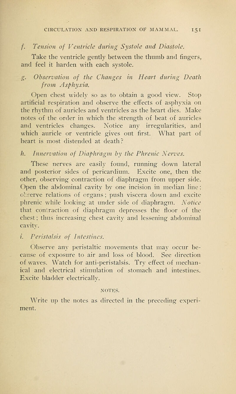 /. Tension of Ventricle during Systole and Diastole. Take the ventricle gently between the thumb and fingers, and feel it harden with each systole. g. Observation of the Changes in Heart during Death from Asphyxia. Open chest wadely so as to obtain a good view. Stop artificial respiration and observe the effects of asphyxia on the rhythm of auricles and ventricles as the heart dies. Make notes of the order in which the strength of beat of auricles and ventricles changes. Notice any irregularities, and which auricle or ventricle gives out first. What part of heart is most distended at death? h. Innervation of Diaphragm by the Phrenic Nerves. These nerves are easily found, running down lateral and posterior sides of pericardium. Excite one, then the other, observing contraction of diaphragm from upper side. Open the abdominal cavity by one incision in median line; observe relations of organs; push viscera down and excite phrenic while looking at under side of diaphragm. Notice that contraction of diaphragm depresses the floor of the chest; thus increasing chest cavity and lessening abdominal cavity. /. Peristalsis of Intestines. Observe any peristaltic movements that may occur be- cause of exposure to air and loss of blood. See direction of waves. Watch for anti-peristalsis. Try effect of mechan- ical and electrical stimulation of stomach and intestines. Excite bladder electrically. NOTES. Write up the notes as directed in the preceding experi- ment.
