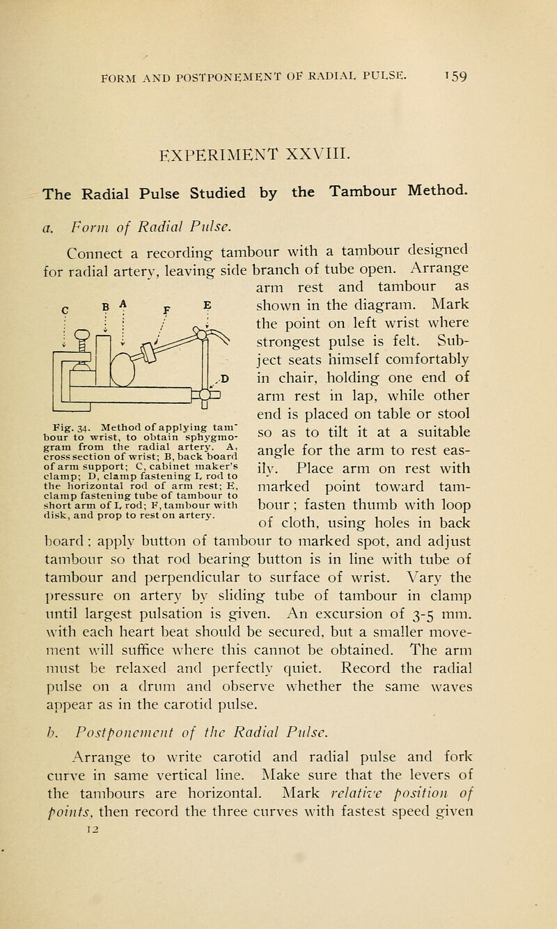 EXPERIMENT XXVIII. The Radial Pulse Studied by the Tambour Method. a. Form of Radial Pulse. Connect a recording tambour with a tambour designed for radial artery, leaving side branch of tube open. Arrange arm rest and tambour as shown in the diagram. Mark the point on left wrist where strongest pulse is felt. Sub- Fig. 34. Method of applying tani bour to wrist, to obtain sphygmo- gram from the radial artery. A, cross section of wrist; B, back board of arm support; C, cabinet maker's clamp; D, clamp fastening L rod to the horizontal rod of arm rest; E, clamp fastening tube of tambour to short arm of L rod; F, tambour with disk, and prop to rest on artery. ject seats himself comfortably in chair, holding one end of arm rest in lap, while other end is placed on table or stool so as to tilt it at a suitable angle for the arm to rest eas- ily. Place arm on rest with marked point toward tam- bour ; fasten thumb with loop of cloth, using holes in back board : apply button of tambour to marked spot, and adjust tambour so that rod bearing button is in line with tube of tambour and perpendicular to surface of wrist. Vary the ])ressure on artery by sliding tube of tambour in clamp until largest pulsation is given. An excursion of 3-5 mm. with each heart beat should be secured, but a smaller move- ment will suffice where this cannot be obtained. The arm must be relaxed and perfectly quiet. Record the radial pulse on a drum and observe whether the same waves appear as in the carotid pulse. b. Postponement of the Radial Pulse. Arrange to write carotid and radial pulse and fork curve in same vertical line. Make sure that the levers of the tambours are horizontal. Mark relative position of points, then record the three curves with fastest speed given