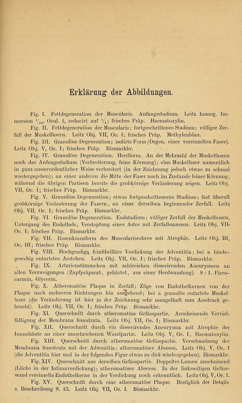 Erklärung der Abbildungen. Fig. I. Fettdegeneration der Muscularis. Anfangsstadium. Leitz homog. Im- mersion Vi2) Ocul. I, reducirt auf Vj; frisches Präp. Haematoxylin. Fig. II. Fettdegeneration der Muscularis; fortgeschrittenes Stadium; völliger Zer- fall der Muskelfasern. Leitz Obj. VII, Oc. I; frisches Präp. Methylenblau. Fig. III. Granulöse Degeneration; isolirte Form (Degen, einer vereinzelten Faser). Leitz Obj. V, Oc. I; frisches Präp. Bismarkbr. Fig. IV. Granulöse Degeneration. Herdform. An der Mehrzahl der Muskelfasern noch das Anfangsstadium (Verbreiterung, feine Körnung); eine Muskelfaser namentlich in ganz ausserordentlicher Weise verbreitert (in der Zeichnung jedoch etwas zu schmal wiedergegeben); an einer anderen die Mitte der Faser noch im Zustande feiner Körnung, während die übrigen Partieen bereits die grobkörnige Veränderung zeigen. Leitz Obj. VII, Oc. I; frisches Präp. Bismarkbr. Fig. V. Granulöse Degeneration; etwas fortgeschritteneres Stadium; fast überall grobkörnige Veränderung der Fasern, an einer derselben beginnender Zerfall. Leitz Obj. VII, Oc. I; frisches Präp. Bismarkbr. Fig. VI. Granulöse Degeneration. Endstadium ; völliger Zerfall der Muskelfasern, Untergang des Endothels, Verstopfung eines Astes mit Zerfallsmassen. Leitz Obj. VIL Oc. I; frisches Präp. Bismarkbr. Fig. VII. Rosenkranzform des Muscularisrohres mit Atrophie. Leitz Obj. III, Oc, III; frisches Präp. Bismarkbr. Fig. VIII. Hochgradige feinfibrilläre Verdickung der Adventitia; bei a binde- gewebig entartetes Aestchen. Leitz Obj. VII, Oc. I; frisches Präp. Bismarkbr. Fig. IX. Arterienstämmchen mit zahlreichen dissecirenden Aneurysmen an allen Verzweigungen (Zupfpräparat, gehärtet, aus einer Herdwandung). 8: 1. Picro- carmin, Glycerin. Fig. X. Atheromatöse Plaque in Zerfall; Züge von Endothelkernen von der Plaque nach mehreren Richtungen hin ausgehend; bei a granulös entartete Muskel- faser (die Veränderung ist hier in der Zeichnung sehr mangelhaft zum Ausdruck ge- bracht). Leitz Obj. VII, Oc. I; frisches Präp. Bismarkbr. Fig. XI. Querschnitt durch atheromatöse Gefässpartie. Anscheinende Verviel- fältigung der Membrana fenestrata. Leitz Obj. VII, Oc. I; Bismarkbr. Fig. XII. Querschnitt durch ein dissecirendes Aneurysma mit Atrophie der Innenhäute an einer umschriebenen Wandpartie. Leilz Obj. V, Oc. I, Haematoxylin. Fig. XIII. Querschnitt durch atheromatöse Gefässpartie. Verschmelzung der Membrana fenestrata mit der Adventitia; atheromatöser Abscess. Leitz Obj. V, Oc. I (die Adventitia hier und in der folgenden Figur etwas zu dick wiedergegeben). Bismarkbr. Fig. XIV. Querschnitt aus derselben Gefässpartie. Doppeltes Lumen anscheinend (Lücke in der Intimaverdickung); atheromatöser Abscess. In der linksseitigen Gefäss- wand vereinzelte Endothelkerne in der Verdickung noch erkenntlich. Leitz Obj. V, Oc. I. Fig. XV. Querschnitt durch eine atheromatöse Plaque. Bezüghch der Details s. Beschreibung S. 43. Leitz Obj. VII, Oc. I. Bismarkbr.