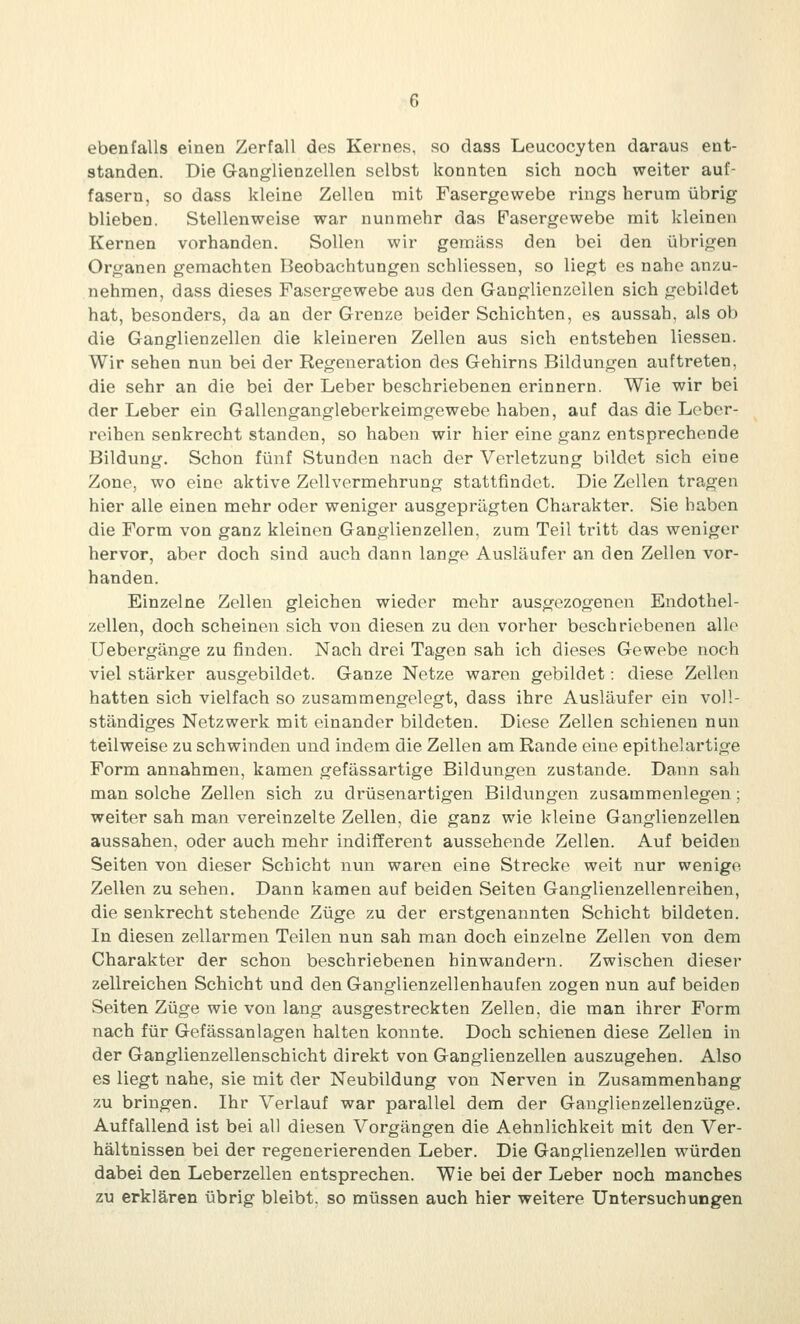 ebenfalls einen Zerfall des Kernes, so dass Leucocyten daraus ent- standen. Die Ganglienzellen selbst konnten sich noch weiter auf- fasern, so dass kleine Zellen mit Fasergewebe rings herum übrig blieben. Stellenweise war nunmehr das Pasergewebe mit kleinen Kernen vorhanden. Sollen wir gemäss den bei den üVjrigen Organen gemachten Beobachtungen schliessen, so liegt es nahe anzu- nehmen, dass dieses Fasergewebe aus den Ganglienzellen sich gebildet hat, besonders, da an der Grenze beider Schichten, es aussah, als oIj die Ganglienzellen die kleineren Zellen aus sich entstehen Hessen. Wir sehen nun bei der Regeneration des Gehirns Bildungen auftreten, die sehr an die bei der Leber beschriebenen erinnern. Wie wir bei der Leber ein Gallengangleberkeimgewebe haben, auf das die Lebcr- roihen senkrecht standen, so haben wir hier eine ganz entsprechende Bildung. Schon fünf Stunden nach der Verletzung bildet sich eine Zone, wo eine aktive Zellvermehrung stattfindet. Die Zellen tragen hier alle einen mehr oder weniger ausgeprägten Charakter. Sie haben die Form von ganz kleinen Ganglienzellen, zum Teil tritt das weniger hervor, aber doch sind auch dann lange Ausläufer an den Zellen vor- handen. Einzelne Zellen gleichen wieder mehr ausgezogenen Endothel- zellen, doch scheinen sich von diesen zu den vorher beschriebenen alle Uebergänge zu finden. Nach drei Tagen sah ich dieses Gewebe noch viel stärker ausgebildet. Ganze Netze waren gebildet: diese Zellen hatten sich vielfach so zusammengelegt, dass ihre Ausläufer ein voll- ständiges Netzwerk mit einander bildeten. Diese Zellen schienen nun teilweise zu schwinden und indem die Zellen am Rande eine epithel artige Form annahmen, kamen gefässartige Bildungen zustande. Dann sah man solche Zellen sich zu drüsenartigen Bildungen zusammenlegen; weiter sah man vereinzelte Zellen, die ganz wie kleine Ganglienzellen aussahen, oder auch mehr indifferent aussehende Zellen. Auf beiden Seiten von dieser Schicht nun waren eine Strecke weit nur wenige Zellen zu sehen. Dann kamen auf beiden Seiten Ganglienzellenreihen, die senkrecht stehende Züge zu der erstgenannten Schicht bildeten. In diesen zellarmen Teilen nun sah man doch einzelne Zellen von dem Charakter der schon beschriebenen hinwandern. Zwischen dieser zellreichen Schicht und den Ganglienzellenhaufen zogen nun auf beiden Seiten Züge wie von lang ausgestreckten Zellen, die man ihrer Form nach für Gefässanlagen halten konnte. Doch schienen diese Zellen in der Ganglienzellenschicht direkt von Ganglienzellen auszugehen. Also es liegt nahe, sie mit der Neubildung von Nerven in Zusammenbang zu bringen. Ihr Verlauf war parallel dem der Ganglienzellenzüge. Auffallend ist bei all diesen Vorgängen die Aehnlichkeit mit den Ver- hältnissen bei der regenerierenden Leber. Die Ganglienzellen würden dabei den Leberzellen entsprechen. Wie bei der Leber noch manches zu erklären übrig bleibt, so müssen auch hier weitere Untersuchungen