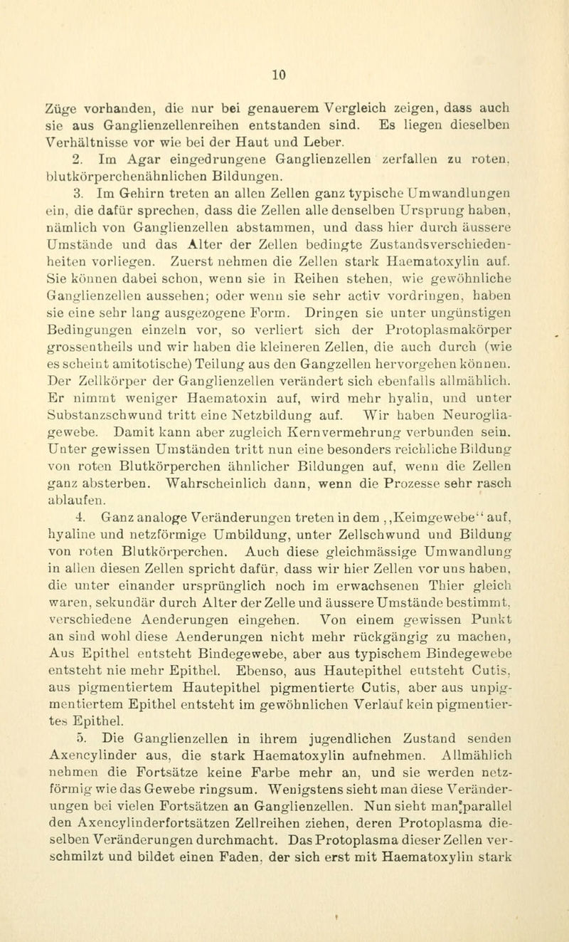Züge vorhanden, die nur bei genauerem Vergleich zeigen, dass auch sie aus Ganglienzellenreihen entstanden sind. Es liegen dieselben Verhältnisse vor wie bei der Haut und Leber. 2. Im Agar eingedrungene Ganglienzellen zerfallen zu roten, blutkörperchenähnlichen Bildungen. 3. Im Gehirn treten an allen Zellen ganz typische Umwandlungen ein, die dafür sprechen, dass die Zellen alle denselben Ursprung haben, nämlich von Ganglienzellen abstammen, und dass hier durch äussere Umstände und das Alter der Zellen bedingte Zustandsverschieden- heiten vorliegen. Zuerst nehmen die Zellen stark Haematoxylin auf. Sie können dabei schon, wenn sie in Reihen stehen, wie gewöhnliche Ganglienzellen aussehen; oder wenn sie sehr activ vordringen, haben sie eine sehr lang ausgezogene Form. Dringen sie unter ungünstigen Bedingungen einzeln vor, so verliert sich der Protoplasmakörper grossentheils und wir haben die kleineren Zellen, die auch durch (wie es scheint amitotische) Teilung aus den Gangzellen hervorgehen können. Der Zellkörper der Ganglienzellen verändert sich ebenfalls allmählich. Er nimmt weniger Haematoxin auf, wird mehr hyalin, und unter Substanzschwund tritt eine Netzbildung auf. Wir haben Neuroglia- gewebe. Damit kann aber zugleich Kernvermehrung verbunden sein. Unter gewissen Umständen tritt nun eine besonders reichliche Bildung von roten Blutkörperchen ähnlicher Bildungen auf, wenn die Zellen ganz absterben. Wahrscheinlich dann, wenn die Prozesse sehr rasch ablaufen. 4. Ganz analoge Veränderungen treten in dem ,,Keimgewebe auf, hyaline und netzförmige Umbildung, unter Zellschwund und Bildung von roten Blutkörperchen. Auch diese gleichmässige Umwandlung in allen diesen Zellen spricht dafür, dass wir hier Zellen vor uns haben, die unter einander ursprünglich noch im erwachsenen Thier gleich waren, sekundär durch Alter der Zelle und äussere Umstände bestimmt, verschiedene Aenderungen eingehen. Von einem gewissen Punkt an sind wohl diese Aenderungen nicht mehr rückgängig zu machen, Aus Epithel entsteht Bindegewebe, aber aus typischem Bindegewebe entsteht nie mehr Epithel. Ebenso, aus Hautepithel entsteht Cutis, aus pigmentiertem Hautepithel pigmentierte Cutis, aber aus unpig- mentiertem Epithel entsteht im gewöhnlichen Verlauf kein pigmentiei*- tes Epithel. 5. Die Ganglienzellen in ihrem jugendlichen Zustand senden Axencylinder aus, die stark Haematoxylin aufnehmen. Allmählich nehmen die Fortsätze keine Farbe mehr an, und sie werden netz- förmig wie das Gewebe ringsum. Wenigstens sieht man diese Veränder- ungen bei vielen Fortsätzen an Ganglienzellen. Nun sieht man'parallel den Axencylinderfortsätzen Zellreihen ziehen, deren Protoplasma die- selben Veränderungen durchmacht. Das Protoplasma dieser Zellen ver- schmilzt und bildet einen Faden, der sich erst mit Haematoxylin stark