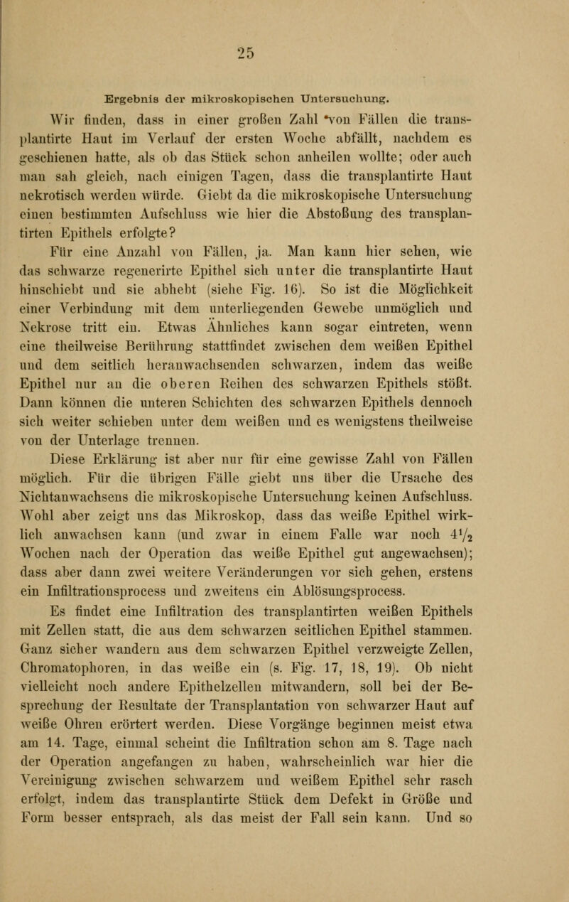 Ergebnis der mikroskopischen Untersuchung. Wir fiudeD, dass in einer g-roßcu Zahl •von Fällen die traus- plantirte Haut im Verlauf der ersten Woche abfällt, nachdem es geschienen hatte, als ob das Stück schon anheilen wollte; oder auch man sah gleich, nach einigen Tagen, dass die trausplantirte Haut nekrotisch werden würde. Giebt da die mikroskopische Untersuchung einen bestimmten Aufschluss wie hier die Abstoßung des trausplan- tirten Epithels erfolgte? Für eine Anzahl Aon Fällen, ja. Man kann hier sehen, wie das schwarze regenerirte Epithel sich unter die transplantirte Haut hinschiebt und sie abhebt (siehe Fig. 16). So ist die Möglichkeit einer Verbindung mit dem unterliegenden Gewebe unmöglich und Nekrose tritt ein. Etwas Ahnliches kann sogar eintreten, wenn eine theilweise Berührung stattfindet zwischen dem weißen Epithel und dem seitlich heranwachsenden schwarzen, indem das weiße Epithel nur an die oberen Reihen des schwarzen Epithels stößt. Dann können die unteren Schichten des schwarzen Epithels dennoch sich weiter schieben unter dem weißen und es wenigstens theilweise von der Unterlage trennen. Diese Erklärung ist aber nur für eine gewisse Zahl von Fällen möglich. Für die übrigen Fälle giebt uns über die Ursache des Nichtanwachsens die mikroskopische Untersuchung keinen Aufschluss. AVohl aber zeigt uns das Mikroskop, dass das weiße Epithel wirk- lich anwachsen kann (und zwar in einem Falle war noch 41/2 Wochen nach der Operation das weiße Epithel gut angewachsen); dass aber dann zwei weitere Veränderungen vor sich gehen, erstens ein Infiltrationsprocess und zweitens ein Ablösungsprocess. Es findet eine Infiltration des transplantirten weißen Epithels mit Zellen statt, die aus dem schwarzen seitlichen Epithel stammen. Ganz sicher wandern aus dem schwarzen Epithel verzweigte Zellen, Chromatophoren, in das weiße ein (s. Fig. 17, 18, 19). Ob nicht vielleicht noch andere Epithelzellen mitwandern, soll bei der Be- sprechung der Resultate der Transplantation von schwarzer Haut auf weiße Ohren erörtert werden. Diese Vorgänge beginnen meist etwa am 14. Tage, einmal scheint die Infiltration schon am 8. Tage nach der Operation angefangen zu haben, wahrscheinlich war hier die Vereinigung zwischen schwarzem und weißem Epithel sehr rasch erfolgt, indem das trausplantirte Stück dem Defekt in Größe und Form besser entsprach, als das meist der Fall sein kann. Und so
