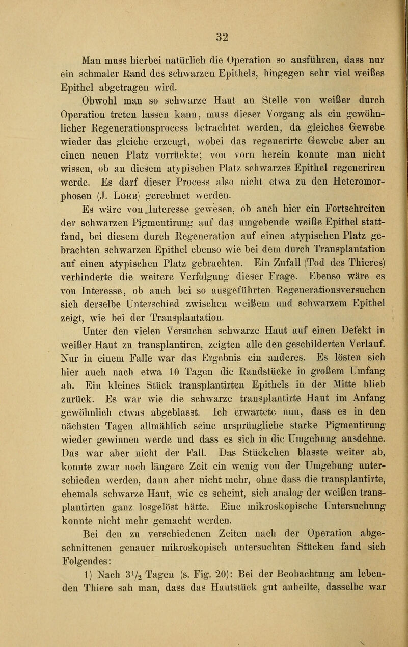 Man muss hierbei natürlicli die Operation so ausführen, dass nur ein schmaler Rand des schwarzen Epithels, hingegen sehr viel weißes Epithel abgetragen wird. Obwohl man so schwarze Haut an Stelle von weißer durch Operation treten lassen kann, muss dieser Vorgang als ein gewöhn- licher Regenerationsprocess betrachtet werden, da gleiches Gewebe wieder das gleiche erzeugt, wobei das regenerirte Gewebe aber an einen neuen Platz vorrückte; von vorn herein konnte man nicht wissen, ob an diesem atypischen Platz schwarzes Epithel regeneriren werde. Es darf dieser Process also nicht etwa zu den Heteromor- phosen (J. Loeb) gerechnet werden. Es wäre von.Interesse gewesen, ob auch hier ein Fortschreiten der schwarzen Pigmentirung auf das umgebende weiße Epithel statt- fand, bei diesem durch Regeneration auf einen atypischen Platz ge- brachten schwarzen Epithel ebenso wie bei dem durch Transplantation auf einen atypischen Platz gebrachten. Ein Zufall (Tod des Thieres) verhinderte die weitere Verfolgung dieser Frage. Ebenso wäre es von Interesse, ob auch bei so ausgeführten Regenerationsversuchen sich derselbe Unterschied zwischen weißem und schwarzem Epithel zeigt, wie bei der Transplantation. Unter den vielen Versuchen schwarze Haut auf einen Defekt in weißer Haut zu transplantiren, zeigten alle den geschilderten Verlauf. Nur in einem Falle war das Ergebnis ein anderes. Es lösten sich hier auch nach etwa 10 Tagen die Randstücke in großem Umfang ab. Ein kleines Stück transplantirten Epithels in der Mitte blieb zurück. Es war wie die schwarze transplantirte Haut im Anfang gewöhnlich etwas abgeblasst. Ich erwartete nun, dass es in den nächsten Tagen allmählich seine ursprüngliche starke Pigmentirung wieder gewinnen werde und dass es sich in die Umgebung ausdehne. Das war aber nicht der Fall. Das Stückchen blasste weiter ab, konnte zwar noch längere Zeit ein wenig von der Umgebung unter- schieden werden, dann aber nicht mehr, ohne dass die transplantirte, ehemals schwarze Haut, wie es scheint, sich analog der weißen trans- plantirten ganz losgelöst hätte. Eine mikroskopische Untersuchung konnte nicht mehr gemacht werden. Bei den zu verschiedenen Zeiten nach der Operation abge- schnittenen genauer mikroskopisch untersuchten Stücken fand sich Folgendes: 1) Nach 31/2 Tagen (s. Fig. 20): Bei der Beobachtung am leben- den Thiere sah man, dass das Hautstück gut anheilte, dasselbe war
