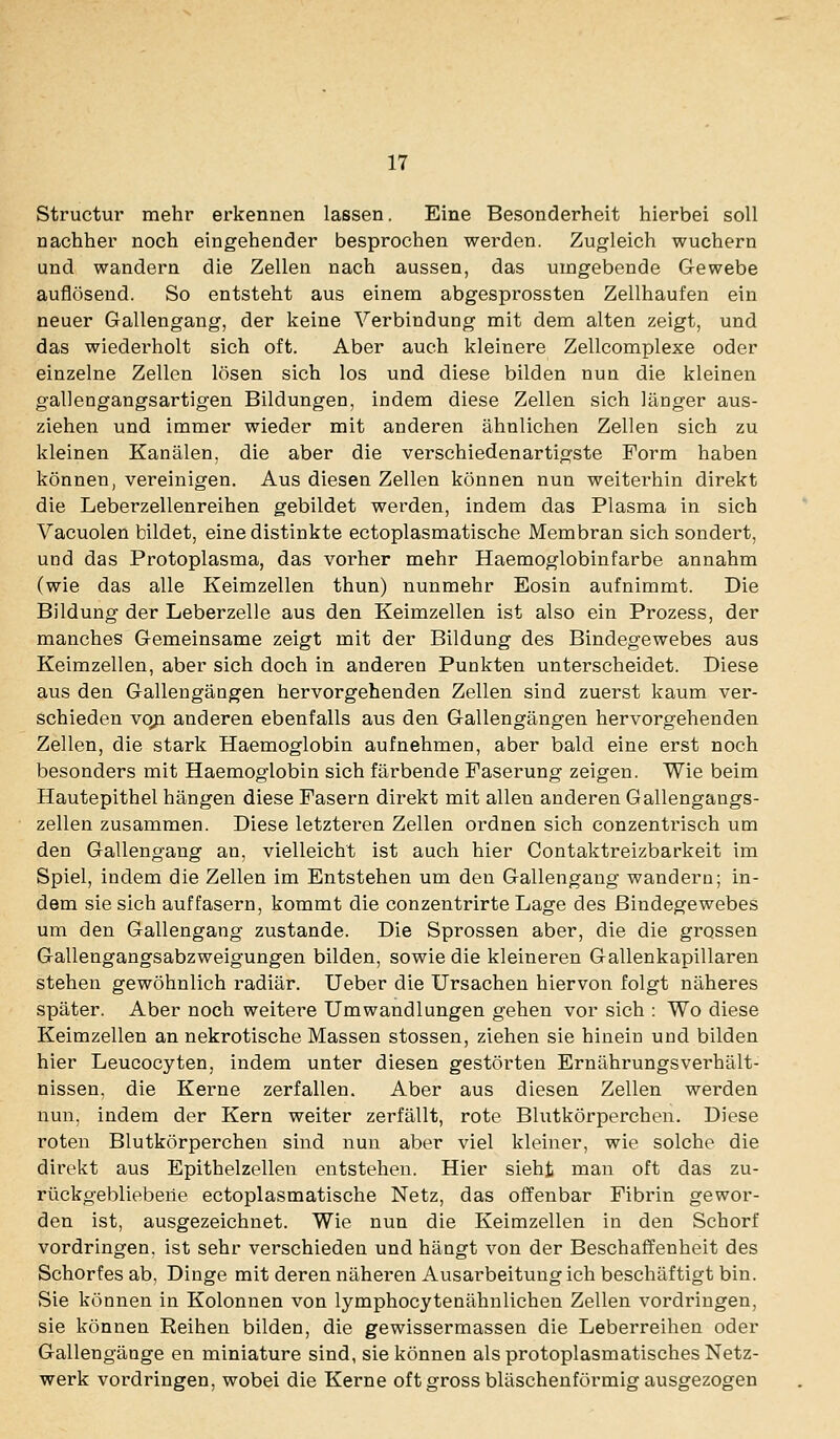 Structur mehr erkennen lassen. Eine Besonderheit hierbei soll nachher noch eingehender besprochen werden. Zugleich wuchern und wandern die Zellen nach aussen, das umgebende Gewebe auflösend. So entsteht aus einem abgesprossten Zellhaufen ein neuer Gallengang, der keine Verbindung mit dem alten zeigt, und das wiederholt sich oft. Aber auch kleinere Zellcomplexe oder einzelne Zellen lösen sich los und diese bilden nun die kleinen gallengangsartigen Bildungen, indem diese Zellen sich länger aus- ziehen und immer wieder mit anderen ähnlichen Zellen sich zu kleinen Kanälen, die aber die verschiedenartigste Form haben können, vereinigen. Aus diesen Zellen können nun weiterhin direkt die Leberzellenreihen gebildet werden, indem das Plasma in sich Vacuolen bildet, einedistinkte ectoplasmatische Membran sich sondert, und das Protoplasma, das vorher mehr Haemoglobinfarbe annahm (wie das alle Keimzellen thun) nunmehr Eosin aufnimmt. Die Bildung der Leberzelle aus den Keimzellen ist also ein Prozess, der manches Gemeinsame zeigt mit der Bildung des Bindegewebes aus Keimzellen, aber sich doch in anderen Punkten unterscheidet. Diese aus den Gallengängen hervorgehenden Zellen sind zuerst kaum ver- schieden vo^ anderen ebenfalls aus den Gallengängen hervorgehenden Zellen, die stark Haemoglobin aufnehmen, aber bald eine erst noch besonders mit Haemoglobin sich färbende Faserung zeigen. Wie beim Hautepithel hängen diese Fasern direkt mit allen anderen Gallengangs- zellen zusammen. Diese letzteren Zellen ordnen sich conzentrisch um den Gallengang an, vielleicht ist auch hier Contaktreizbarkeit im Spiel, indem die Zellen im Entstehen um den Gallengang wandern; in- dem sie sich auf fasern, kommt die conzentrirte Lage des Bindegewebes um den Gallengang zustande. Die Sprossen aber, die die grossen Gallengangsabzweigungen bilden, sowie die kleineren Gallenkapillaren stehen gewöhnlich radiär. Ueber die Ursachen hiervon folgt näheres später. Aber noch weitere Umwandlungen gehen vor sich : Wo diese Keimzellen an nekrotische Massen stossen, ziehen sie hinein und bilden hier Leucocyten, indem unter diesen gestörten Ernährungsverhält- nissen, die Kerne zerfallen. Aber aus diesen Zellen werden nun, indem der Kern weiter zerfällt, rote Blutkörperchen. Diese roten Blutkörperchen sind nun aber viel kleiner, wie solche die direkt aus Epithelzellen entstehen. Hier sieht man oft das zu- rückgebliebene ectoplasmatische Netz, das offenbar Fibrin gewor- den ist, ausgezeichnet. Wie nun die Keimzellen in den Schorf vordringen, ist sehr verschieden und hängt von der Beschaffenheit des Schorfes ab, Dinge mit deren näheren Ausarbeitung ich beschäftigt bin. Sie können in Kolonnen von lymphocytenähnlichen Zellen vordringen, sie können Reihen bilden, die gewissermassen die Leberreihen oder Gallengänge en miniature sind, sie können als protoplasmatisches Netz- werk vordringen, wobei die Kerne oft gross bläschenförmig ausgezogen