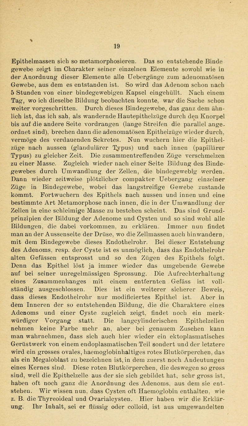 Epithelmassen sich so metamorphosieren. Das so entstehende Binde gewebe zeigt im Charakter seiner einzelnen Elemente sowohl wie in der Anordnung dieser Elemente alle Uebergänge zum adenomatösen Gewebe, aus dem es entstanden ist. So wird das Adenom schon nach 5 Stunden von einer bindegewebigen Kapsel eingehüllt. Nach einem Tag, wo ich dieselbe Bildung beobachten konnte, war die Sache schon weiter vorgeschritten. Durch dieses Bindegewebe, das ganz dem ähn- lich ist, das ich sah, als wandernde Hautepithelzüge durch den Knorpel bis auf die andere Seite vordrangen (lange Streifen die parallel ange- ordnet sind), brechen dann die adenomatösen Epithelzüge wieder durch, vermöge des verdauenden Sekretes. Nun wuchern hier die Epithel- züge nach aussen (glandulärer T^pus) und nach innen (papillärer Typus) zu gleicher Zeit. Die zusammentreffenden Züge verschmelzen zu einer Masse. Zugleich wieder nach einer Seite Bildung des Binde- gewebes durch Umwandlung der Zellen, die bindegewebig werden. Dann wieder zeitweise plötzlicher compakter Uebergang einzelner Züge in Bindegewebe, wobei das langstreifige Gewebe zustande kommt. Fortwuchern des Epithels nach aussen und innen und eine bestimmte Art Metamorphose nach innen, die in der Umwandlung der Zellen in eine schleimige Masse zu bestehen scheint. Das sind Grund- prinzipien der Bildung der Adenome und Cysten und so sind wohl alle Bildungen, die dabei vorkommen, zu erklären. Immer nun findet man an der Aussenseite der Drüse, wo die Zellmassen auch hin wandern, mit dem Bindegewebe dieses Endothelrohr. Bei dieser Entstehung des Adenoms, resp. der Cyste ist es unmöglich, dass das Endothelrohr alten Gefässen entsprosst und so den Zügen des Epithels folgt. Denn das Epithel löst ja immer wieder das umgebende Gewebe auf bei seiner unregelmässigen Sprossung. Die Aufrechterhaltung eines Zusammenhanges mit einem entfernten Gefäss ist voll- ständig ausgeschlossen. Dies ist ein weiterer sicherer Beweis, dass dieses Endothelrohr nur modificiertes Epithel ist. Aber in dem Inneren der so entstehenden Bildung, die die Charaktere eines Adenoms und einer Cyste zugleich zeigt, findet noch ein merk- würdiger Vorgang statt. Die langcylinderischen Epithelzellen nehmen keine Farbe mehr an, aber bei genauem Zusehen kann man wahrnehmen, dass sich auch hier wieder ein ektoplasmatisches Gerüstwerk von einem endoplasmatischen Teil sondert und der letztere wird ein grosses ovales, haemoglobinhaltiges rotes Blutkörperchen, das als ein Megaloblast zu bezeichnen ist, in dem zuerst noch Andeutungen eines Kernes sind. Diese roten Blutkörperchen, die deswegen sO gross sind, weil die Epithelzelle aus der sie sich gebildet hat, sehr gross ist, haben oft noch ganz die Anordnung des Adenoms, aus dem sie ent- stehen. Wir wissen nun. dass Cysten oft Haemoglobin enthalten, wie z. B. die Thyreoideal und Ovarialcysten. Hier haben wir die Erklär- ung. Ihr Inhalt, sei er flüssig oder coUoid, ist aus umgewandelten