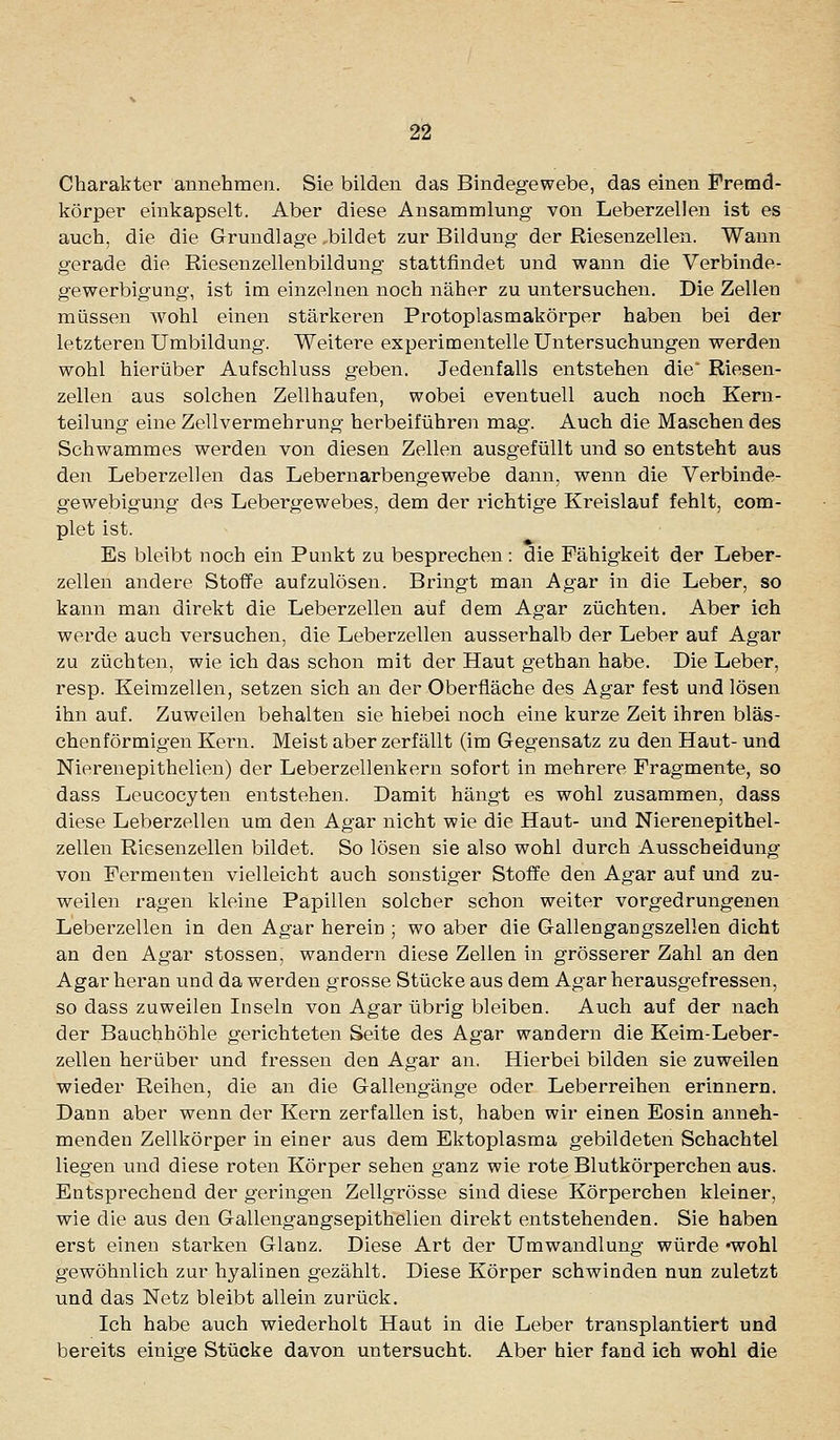 Charakter annehmen. Sie bilden das Bindegewebe, das einen Fremd- körper einkapselt. Aber diese Ansammlung von Leberzellen ist es auch, die die Grundlage ,bildet zur Bildung der Riesenzellen. Wann gerade die Riesenzellenbildung stattfindet und wann die Verbinde- gewerbigung, ist im einzelnen noch näher zu untersuchen. Die Zellen müssen wohl einen stärkeren Protoplasmakörper haben bei der letzteren Umbildung. Weitere experimentelle Untersuchungen werden wohl hierüber Aufschluss geben. Jedenfalls entstehen die' Riesen- zellen aus solchen Zellhaufen, wobei eventuell auch noch Kern- teilung eine Zellvermehrung herbeiführen mag. Auch die Maschen des Schwammes werden von diesen Zellen ausgefüllt und so entsteht aus den Leberzellen das Lebernarbengewebe dann, wenn die Verbinde- gewebigung des Lebergewebes, dem der richtige Kreislauf fehlt, com- plet ist. Es bleibt noch ein Punkt zu besprechen: die Fähigkeit der Leber- zellen andere Stoffe aufzulösen. Bringt man Agar in die Leber, so kann man direkt die Leberzellen auf dem Agar züchten. Aber ich werde auch versuchen, die Leberzellen ausserhalb der Leber auf Agar zu züchten, wie ich das schon mit der Haut gethan habe. Die Leber, resp. Keimzellen, setzen sich an der Oberfläche des Agar fest und lösen ihn auf. Zuweilen behalten sie hiebei noch eine kurze Zeit ihren bläs- chenförmigen Kern. Meist aber zerfällt (im Gegensatz zu den Haut- und Nierenepithelien) der Leberzellenkern sofort in mehrere Fragmente, so dass Leucocyten entstehen. Damit hängt es wohl zusammen, dass diese Leberzellen um den Agar nicht wie die Haut- und Nierenepithel- zellen Riesenzellen bildet. So lösen sie also wohl durch Ausscheidung von Fermenten vielleicht auch sonstiger Stoffe den Agar auf und zu- weilen ragen kleine Papillen solcher schon weiter vorgedrungenen Leberzellen in den Agar herein ; wo aber die Gallengangszellen dicht an den Agar stossen, wandern diese Zellen in grösserer Zahl an den Agar heran und da werden grosse Stücke aus dem Agar herausgefressen, so dass zuweilen Inseln von Agar übrig bleiben. Auch auf der nach der Bauchhöhle gerichteten Seite des Agar wandern die Keim-Leber- zellen herüber und fressen den Agar an. Hierbei bilden sie zuweilen wieder Reihen, die an die Gallengänge oder Leberreihen erinnern. Dann aber wenn der Kern zerfallen ist, haben wir einen Eosin anneh- menden Zellkörper in einer aus dem Ektoplasma gebildeten Schachtel liegen und diese roten Körper sehen ganz wie rote Blutkörperchen aus. Entsprechend der geringen Zellgrösse sind diese Körperchen kleiner, wie die aus den Gallengangsepithelien direkt entstehenden. Sie haben erst einen stai^ken Glanz. Diese Art der Umwandlung würde -wohl gewöhnlich zur hyalinen gezählt. Diese Körper schwinden nun zuletzt und das Netz bleibt allein zurück. Ich habe auch wiederholt Haut in die Leber transplantiert und bereits einige Stücke davon untersucht. Aber hier fand ich wohl die