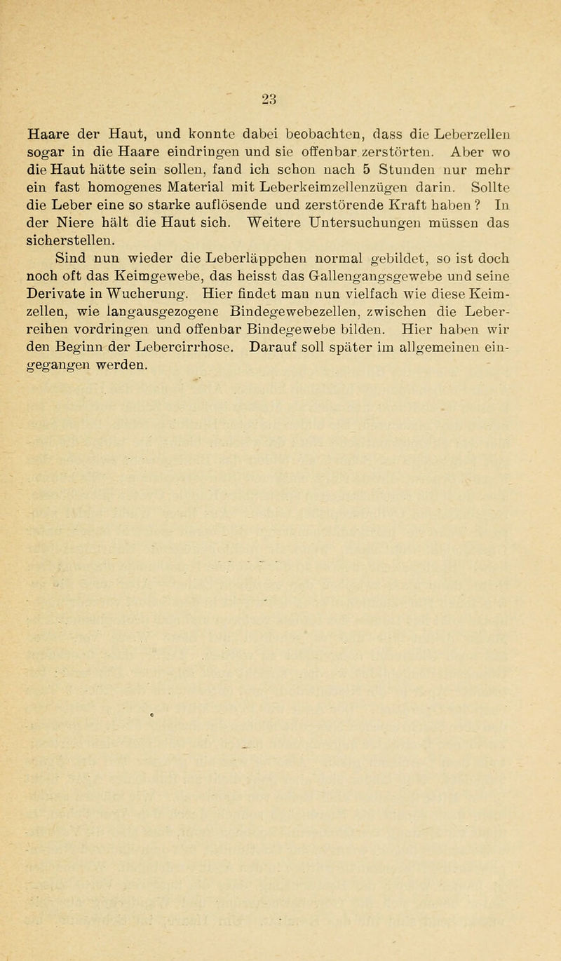 Haare der Haut, und konnte dabei beobachten, dass die Leberzellen sogar in die Haare eindringen und sie offenbar zerstörten. Aber wo die Haut hätte sein sollen, fand ich schon nach 5 Stunden nur mehr ein fast homogenes Material mit Leberkeimzellenzügen darin. Sollte die Leber eine so starke auflösende und zerstörende Kraft haben ? In der Niere hält die Haut sich. Weitere Untersuchungen müssen das sicherstellen. Sind nun wieder die Leberläppchen normal gebildet, so ist doch noch oft das Keimgewebe, das heisst das G-allengangsgewebe und seine Derivate in Wucherung. Hier findet man nun vielfach wie diese Keim- zellen, wie langausgezogene Bindegewebezellen, zwischen die Leber- reihen vordringen und offenbar Bindegewebe bilden. Hier haben wir den Beginn der Lebercirrhose. Darauf soll später im allgemeinen ein- gegangen werden.