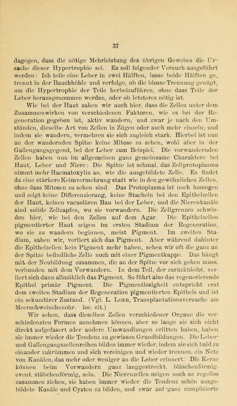 dagegen, dass die nötige Mehrleistung des übrigen Gewebes die Ur- sache dieser Hypertrophie sei. Es soll folgender Versuch ausgeführt werden: Ich teile eine Leber in zwei Hälften, lasse beide Hälften ge. trennt in der Bauchhöhle und verfolge, ob die blosse Trennung genügt, um die Hypertrophie der Teile herbeizuführen, ohne dass Teile der Leber herausgenommen werden, oder ob letzteres nötig ist. Wie bei der Haut sahen wir auch hier, dass die Zellen unter dem Zusammenwirken von verschiedenen Faktoren, wie es bei der Re- generation gegeben ist, aktiv wandern, und zwar je nach den Um- ständen, dieselbe Art von Zellen in Zügen oder auch mehr einzeln; und indem sie wandern, vermehren sie sich zugleich stark. Hierbei ist nun an der wandernden Spitze keine Mitose zu sehen, wohl aber in der Gallengangsgegend, bei der Leber zum Beispiel. Die vorwandernden Zellen haben nun im allgemeinen ganz gemeinsame Charaktere bei Haut, Leber und Niere: Die Spitze ist schmal, das Zellprotoplasma nimmt mehr Haematoxylin an, wie die ausgebildete Zelle. Es findet da eine stärkere Keimvermehrung statt wie in den gewöhnlichen Zellen, ohne dass Mitosen zu sehen sind. Das Protoplasma ist noch homogen und zeigt keine Differenzierung, keine Stacheln bei den Epithelzellen der Haut, keinen vacuolären Bau bei der Leber, und die Niei'enkanäle sind solide Zellzapfen, wo sie vorwandern. Die Zellgrenzen schwin- den hier, wie bei den Zellen auf dem Agar. Die Epithelzellen pigmentierter Haut zeigen im ersten Stadium der Regeneration, wo sie zu wandern beginnen, meist Pigment. Im zweiten Sta- dium, sahen wir, verliert sich das Pigment. Aber während dahinter die Epithelzellen kein Pigment mehr haben, sehen wir oft die ganz an der Spitze befindliche Zelle noch mit einer Pigmentkappe. Das hängt mit der Neubildung zusammen, die an der Spitze vor sich gehen muss, verbunden mit dem Vorwandern. In dem Teil, der zurückbleibt, ver- liert sich dann allmählich das Pigment. So führt also das regenerierende Epithel primär Pigment. Die Pigmentlosigkeit entspricht erst dem zweiten Stadium der Regeneration pigmentierten Epithels und ist ein sekundärer Zustand. (Vgl. L. Loeb, Transplantationsversuche am Meerschweinchenohr. loc. cit.) Wir sehen, dass dieselben Zellen verschiedener Organe die ver- schiedensten Formen annehmen können, aber so lange sie sich nicht direkt aufgefasert oder andere Umwandlungen erlitten haben, haben sie immer wieder die Tendenz zu gewissen Grundbildungen. Die Leber- und Gallengangszellenreihen bilden immer wieder, indem sie sich bald zu einander zukrümmen und sich vereinigen und wieder trennen, ein Netz von Kanälen, das mehr oder weniger an die Leber erinnert. Die Kerne können beim Vorwandern ganz langgestreckt, bläschenförmig, event. stäbchenförmig, sein. Die Nierenzellen mögen noch so regellos zusammen ziehen, sie haben immer wieder die Tendenz schön ausge- bildete Kanäle und Cysten zu bilden, und zwar auf 'ganz complizierte