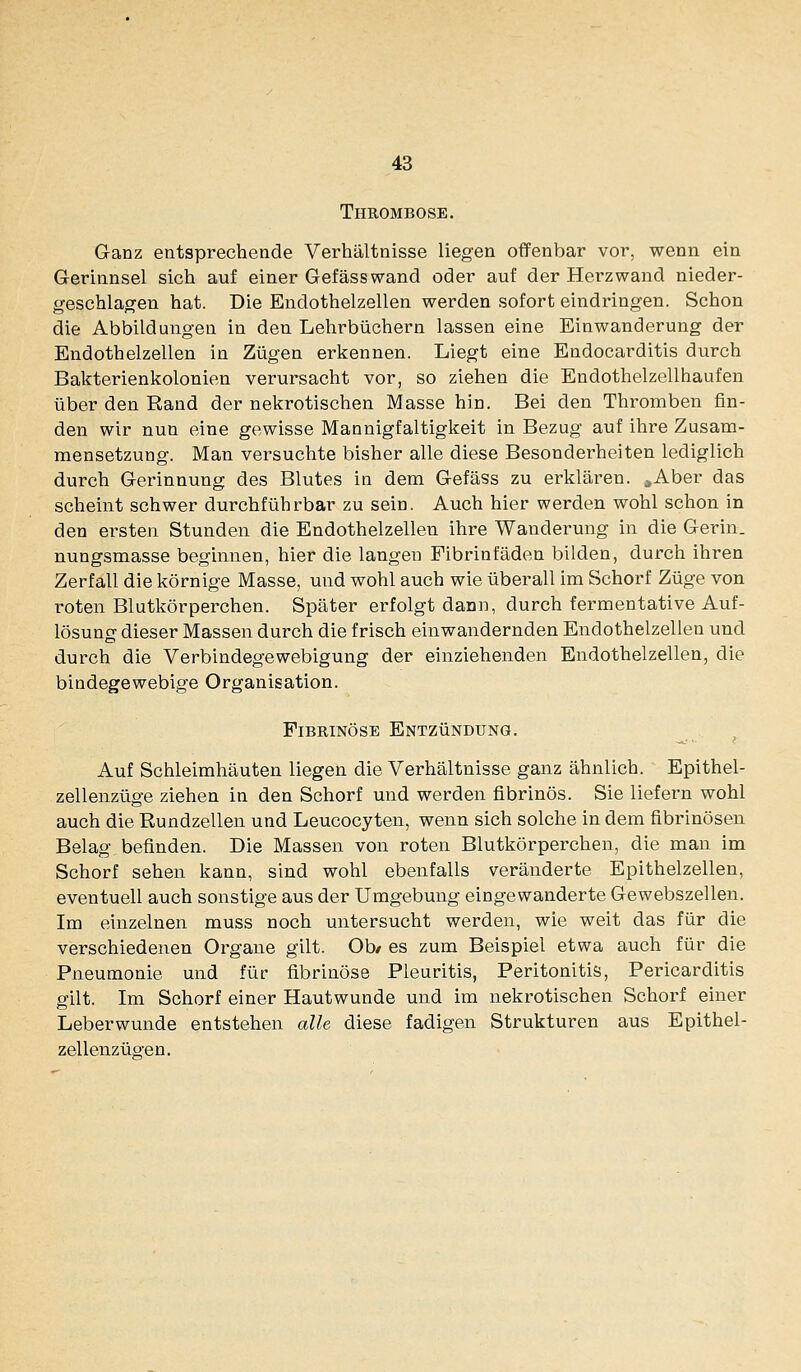 Thrombose. Ganz entsprechende Verhältnisse liegen offenbar vor, wenn ein Gerinnsel sich auf einer Gefässwand oder auf der Herzwand nieder- geschlagen hat. Die Endothelzellen werden sofort eindringen. Schon die Abbilduiigen in den Lehrbüchern lassen eine Einwanderung der Endothelzellen in Zügen erkennen. Liegt eine Endocarditis durch Bakterienkolonien verursacht vor, so ziehen die Endothelzellhaufen über den Rand der nekrotischen Masse hin. Bei den Thromben fin- den wir nun eine gewisse Mannigfaltigkeit in Bezug auf ihre Zusam- mensetzung. Man versuchte bisher alle diese Besonderheiten lediglich durch Gerinnung des Blutes in dem Gefäss zu erklären. »Aber das scheint schwer durchführbar zu sein. Auch hier werden wohl schon in den ersten Stunden die Endothelzellen ihre Wanderung in die Gerin. nungsmasse beginnen, hier die langen Fibrinfäden bilden, durch ihren Zerfall die körnige Masse, und wohl auch wie überall im Schorf Züge von i'oten Blutkörperchen. Später erfolgt dann, durch fermentative Auf- lösung dieser Massen durch die frisch einwandernden Endothelzellen und durch die Verbindegewebigung der einziehenden Endothelzellen, die bindegewebige Organisation. Fibrinöse Entzündung, Auf Schleimhäuten liegen die Verhältnisse ganz ähnlich. Epithel- zellenzüge ziehen in den Schorf und werden fibrinös. Sie liefern wohl auch die Rundzellen und Leucocyten, wenn sich solche in dem fibrinösen Belag befinden. Die Massen von roten Blutkörperchen, die man im Schorf sehen kann, sind wohl ebenfalls veränderte Epithelzellen, eventuell auch sonstige aus der Umgebung eingewanderte Gewebszellen. Im einzelnen muss noch untersucht werden, wie weit das für die verschiedenen Organe gilt. Ob/ es zum Beispiel etwa auch für die Pneumonie und für fibrinöse Pleuritis, Peritonitis, Pericarditis gilt. Im Schorf einer Hautwunde und im nekrotischen Schorf einer Leberwunde entstehen alle diese fadigen Strukturen aus Epithel- zellenzügen.