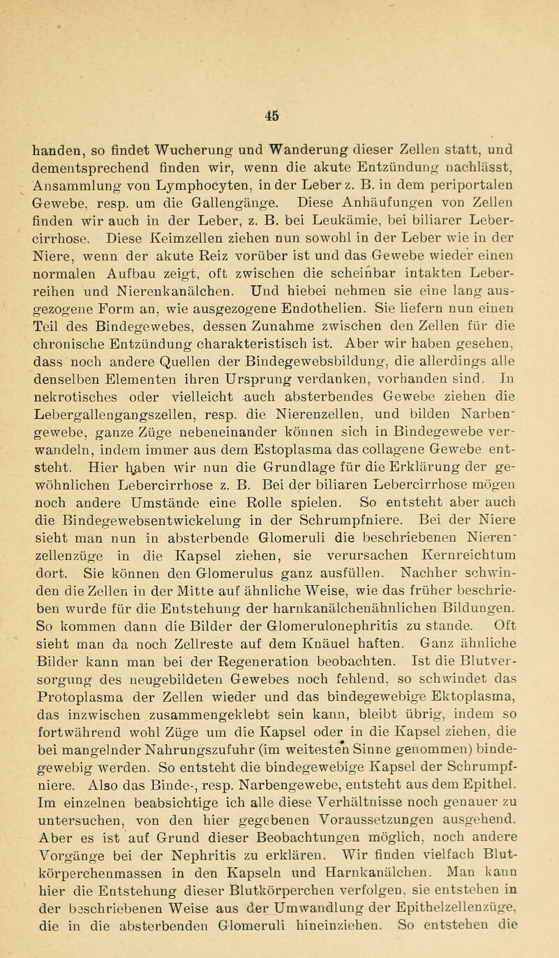 banden, so findet Wucherung und Wanderung dieser Zellen statt, und dementsprechend finden wir, wenn die akute Entzündung nachlässt, Ansammlung von Lymphocyten, in der Leberz. B. in dem periportalen Gewebe, resp. um die G-allengänge. Diese Anhäufungen von Zellen finden wir auch in der Leber, z. B. bei Leukämie, bei biliarer Leber- cirrhose. Diese Keimzellen ziehen nun sowohl in der Leber wie in der Niere, wenn der akute Reiz vorüber ist und das Gewebe wieder einen normalen Aufbau zeigt, oft zwischen die scheinbar intakten Leber- reihen und Nierenkanälchen. Und hiebei nehmen sie eine lang aus- gezogene Form an, wie ausgezogene Endothelien. Sie liefern nun einen Teil des Bindegewebes, dessen Zunahme zwischen den Zellen für die chronische Entzündung charakteristisch ist. Aber wir haben gesehen, dass noch andere Quellen der Bindegewebsbildung, die allerdings alle denselben Elementen ihren Ursprung verdanken, vorhanden sind. In nekrotisches oder vielleicht auch absterbendes Gewebe ziehen die Lebergallengangszellen, resp. die Nierenzellen, und bilden Narben- gewebe, ganze Züge nebeneinander können sich in Bindegewebe ver- wandeln, indem immer aus dem Estoplasma das coUagene Gewebe ent- steht. Hier h^aben wir nun die Grundlage für die Erklärung der ge- wöhnlichen Lebercirrhose z. B. Bei der biliaren Lebercirrhose mögen noch andere Umstände eine Rolle spielen. So entsteht aber auch die Bindegewebsentwickelung in der Schrumpfniere. Bei der Niere sieht man nun in absterbende Glomeruli die beschi-iebenen Nieren- zellenzüge in die Kapsel ziehen, sie verursachen Kernreichtum dort. Sie können den Glomerulus ganz ausfüllen. Nachher schwin- den die Zellen in der Mitte auf ähnliche Weise, wie das früher beschrie- ben wurde für die Entstehung der harnkanälchenähnlichen Bildungen. So kommen dann die Bilder der Glomerulonephritis zu stände. Oft sieht man da noch Zellreste auf dem Knäuel haften. Ganz ähnliche Bilder kann man bei der Regeneration beobachten. Ist die Blutver- sorgung des neugebildeten Gewebes noch fehlend, so schwindet das Protoplasma der Zellen wieder und das bindegewebige Ektoplasma, das inzwischen zusammengeklebt sein kann, bleibt übrig, indem so fortwährend wohl Züge um die Kapsel oder in die Kapsel ziehen, die bei mangelnder Nahrungszufuhr (im weitesten Sinne genommen) binde- gewebig werden. So entsteht die bindegewebige Kapsel der Schrumpf- niere. Also das Binde-, resp. Narbengewebe, entsteht aus dem Epithel. Im einzelnen beabsichtige ich alle diese Verhältnisse noch genauer zu untersuchen, von den hier gegebenen Voraussetzungen ausgehend. Aber es ist auf Grund dieser Beobachtungen möglich, noch andere Vorgänge bei der Nephritis zu erklären. Wir finden vielfach Blut- körperchenmassen in den Kapseln und Harnkanälchen. Man kann hier die Entstehung dieser Blutkörperchen verfolgen, sie entstehen in der baschriebenen Weise aus der Umwandlung der Epithelzellenzüge. die in die absterbenden Glomeruli hineinziehen. So entstehen die