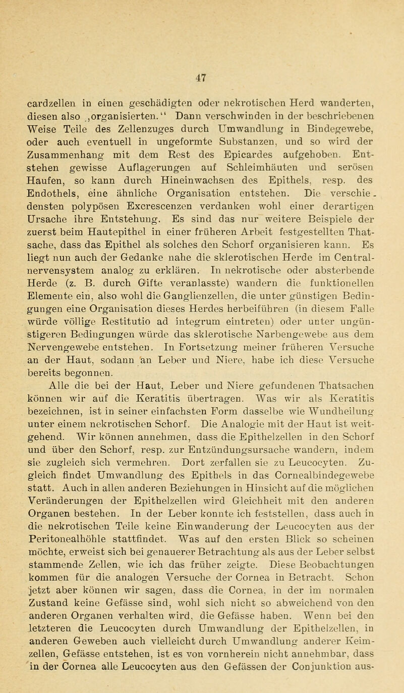 cardzellen in einen geschädigten oder nekrotischen Herd wanderten, diesen also ,organisierten. Dann verschwinden in der beschriebenen Weise Teile des Zellenzuges durch Unawandlung in Bindegewebe, oder auch eventuell in ungeformte Substanzen, und so wird der Zusammenhang mit dem Rest des Epicardes aufgehoben. Ent- stehen gewisse Auflagerungen auf Schleimhäuten und serösen Haufen, so kann durch Hineinwachsen des Epithels, i'esp. des Endothels, eine ähnliche Organisation entstehen. Die verschie. densten polypösen Excrescenzen verdanken wohl einer derartigen Ursache ihre Entstehung. Es sind das nur weitere Beispiele der zuerst beim Hautepithel in einer früheren Arbeit festgestellten That- sache, dass das Epithel als solches den Schorf organisieren kann. Es liegt nun auch der Gedanke nahe die sklerotischen Herde im Central- nervensystem analog zu erklären. In nekrotische oder absterbende Herde (z. B. durch Gifte veranlasste) wandern die funktionellen Elemente ein, also wohl die Ganglienzellen, die unter günstigen Bedin- gungen eine Organisation dieses Herdes herbeiführen (in diesem Falle würde völlige Restitutio ad integrum eintreten) oder unter ungün- stigeren Bedingungen würde das sklerotische Narbengewebe aus dem Nervengewebe entstehen. In Fortsetzung meiner früheren Versuche an der Haut, sodann an Leber und Niere, habe ich diese Versuche bereits begonnen. Alle die bei der Haut, Leber und Niere gefundenen Thatsachen können wir auf die Keratitis übertragen. Was wir als Keratitis bezeichnen, ist in seiner einfachsten Form dasselbe wie Wundheilung unter einem nekrotischen Schorf. Die Analogie mit der Haut ist weit- gehend. Wir können annehmen, dass die Epithelzellen in den Schorf und über den Schorf, resp. zur Entzündungsursacbe wandern, indem sie zugleich sieb vermehren. Dort zerfallen sie zu Leucocyten. Zu- gleich findet Umwandlung des Epithels in das Cornealbindegewebe statt. Auch in allen anderen Beziehungen in Hinsicht auf die möglichen Veränderungen der Epithelzellen wird Gleichheit mit den anderen Organen bestehen. In der Leber konnte ich feststellen, dass auch in die nekrotischen Teile keine Einwanderung der Leucocyten aus der Peritonealhöhle stattfindet. Was auf den ersten Blick so scheinen möchte, erweist sich bei genauerer Betrachtung als aus der Leber selbst stammende Zellen, wie ich das früher zeigte. Diese Beobachtungen kommen für die analogen Versuche der Cornea in Betracht. Schon jetzt aber können wir sagen, dass die Cornea, in der im normalen Zustand keine Gefässe sind, wohl sich nicht so abweichend von den anderen Organen verhalten wird, die Gefässe haben. Wenn bei den letzteren die Leucocyten durch Umwandlung der Epithelzellen, in anderen Geweben auch vielleicht durch Umwandlung anderer Keim- zellen, Gefässe entstehen, ist es von vornherein nicht annehmbar, dass in der Cornea alle Leucocyten aus den Gefässen der Conjuuktion aus-