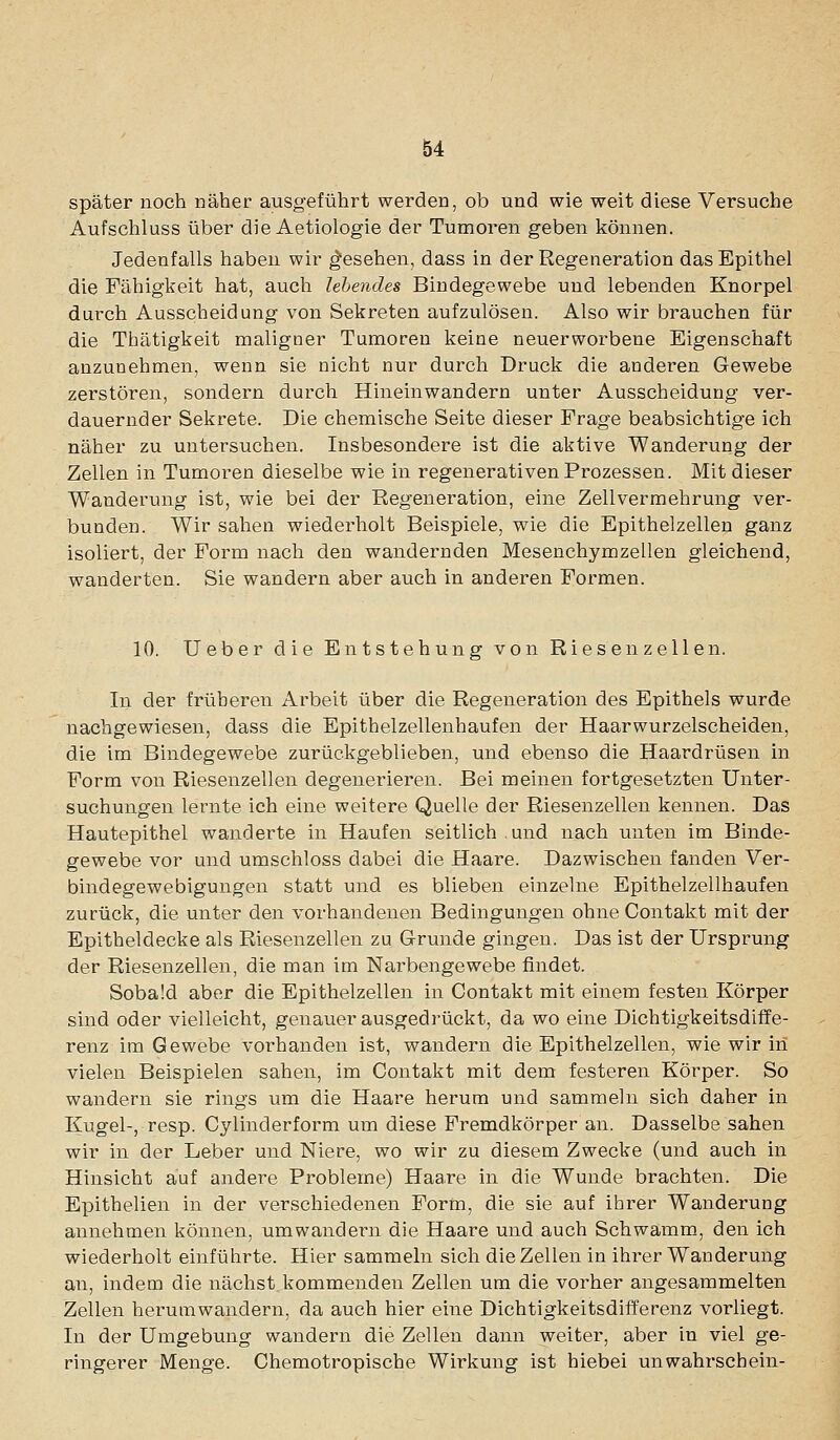 später noch näher ausgeführt werden, ob und wie weit diese Versuche Aufschluss über die Aetiologie der Tumoren geben können. Jedenfalls haben wir gesehen, dass in der Regeneration das Epithel die Fähigkeit hat, auch lebendes Bindegewebe und lebenden Knorpel durch Ausscheidung von Sekreten aufzulösen. Also wir brauchen für die Thätigkeit maligner Tumoren keine neuerworbene Eigenschaft anzunehmen, wenn sie nicht nur durch Druck die anderen Gewebe zerstören, sondern durch Hineinwandern unter Ausscheidung ver- dauernder Sekrete. Die chemische Seite dieser Frage beabsichtige ich näher zu untersuchen. Insbesondere ist die aktive Wanderung der Zellen in Tumoren dieselbe wie in regenerativen Prozessen. Mit dieser Wanderung ist, wie bei der Regeneration, eine Zellvermehrung ver- bunden. Wir sahen wiederholt Beispiele, wie die Epithelzellen ganz isoliert, der Form nach den wandernden Mesenchymzellen gleichend, wanderten. Sie wandern aber auch in anderen Formen. 10. lieber die Entstehung von Riesen Zellen. In der früheren x\rbeit über die Regeneration des Epithels wurde nachgewiesen, dass die Epithelzellenhaufen der Haarwurzelscheiden, die im Bindegewebe zurückgeblieben, und ebenso die Haardrüsen in Form von Riesenzellen degenerieren. Bei meinen fortgesetzten Unter- suchungen lernte ich eine weitere Quelle der Riesenzellen kennen. Das Hautepithel wanderte in Haufen seitlich.und nach unten im Binde- gewebe vor und umschloss dabei die Haare. Dazwischen fanden Ver- bindegewebigungen statt und es blieben einzelne Epithelzellhaufen zurück, die unter den vorhandenen Bedingungen ohne Contakt mit der Epitheldecke als Riesenzellen zu Grunde gingen. Das ist der Ursprung der Riesenzellen, die man im Narbengewebe findet. Sobald aber die Epithelzellen in Contakt mit einem festen Körper sind oder vielleicht, genauer ausgedrückt, da wo eine Dichtigkeitsdiffe- renz im Gewebe vorhanden ist, wandern die Epithelzellen, wie wir in vielen Beispielen sahen, im Contakt mit dem festeren Körper. So wandern sie rings um die Haare herum und sammeln sich daher in Kugel-, resp. Cylinderform um diese Fremdkörper an. Dasselbe sahen wir in der Leber und Niere, wo wir zu diesem Zwecke (und auch in Hinsicht auf andere Probleme) Haare in die Wunde brachten. Die Epithelien in der verschiedenen Form, die sie auf ihrer Wanderung annehmen können, umwandern die Haare und auch Schwamm, den ich wiederholt einführte. Hier sammeln sich die Zellen in ihrer Wanderung an, indem die nächst kommenden Zellen um die vorher angesammelten Zellen herumwandern, da auch hier eine Dichtigkeitsdifferenz vorliegt. In der Umgebung wandern die Zellen dann weiter, aber in viel ge- ringerer Menge. Chemotropische Wirkung ist hiebei unwahrschein-