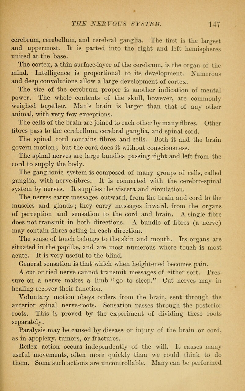 cerebrum, cerebellum, and cerebral ganglia. The first is the largest and uppermost. It is parted into the right and left hemispheres united at the base. The cortex, a thin surface-layer of the cerebrum, is the organ of the mind. Intelligence is proportional to its development. Numerous and deep convolutions allow a large development of cortex. The size of the cerebrum proper is another indication of mental power. The whole contents of the skull, however, are commonly weighed together. Man's brain is larger than that of any other animal, with very few exceptions. The cells of the brain are jomed to each other by many fibres. Other fibres pass to the cerebellum, cerebral ganglia, and spinal cord. The spinal cord contains fibres and cells. Both it and the brain govern motion; but the cord does it without consciousness. The spinal nerves are large bundles passing right and left from the cord to supply the body. The ganglionic system is composed of many groups of cells, called ganglia, with nerve-fibres. It is connected with the cerebro-spinal system by nerves. It supplies the viscera and circulation. The nerves carry messages outward, from the brain and cord to the muscles and glands ; they carry messages inward, from the organs of perception and sensation to the cord and brain. A single fibre does not transmit in both directions. A bundle of fibres (a nerve) may contain fibres acting in each direction. The sense of touch belongs to the skin and mouth. Its organs are situated in the papillae, and are most numerous where touch is most acute. It is very useful to the blind. General sensation is that which when heightened becomes pain. A cut or tied nerve cannot transmit messages of either sort. Pres- sure on a nerve makes a limb  go to sleep. Cut nerves may in healing recover their function. Voluntary motion obeys orders from the brain, sent through the anterior spinal nerve-roots. Sensation passes through the posterior roots. This is proved by the experiment of dividing these roots separately. Paralysis may be caused by disease or injury of tlie brain or cord, as in apoplexy, tumors, or fractures. Reflex action occurs independently of the will. It causes many useful movements, often more quickly than we could think to do them. Some such actions are uncontrollable. ]\Iany can be performed