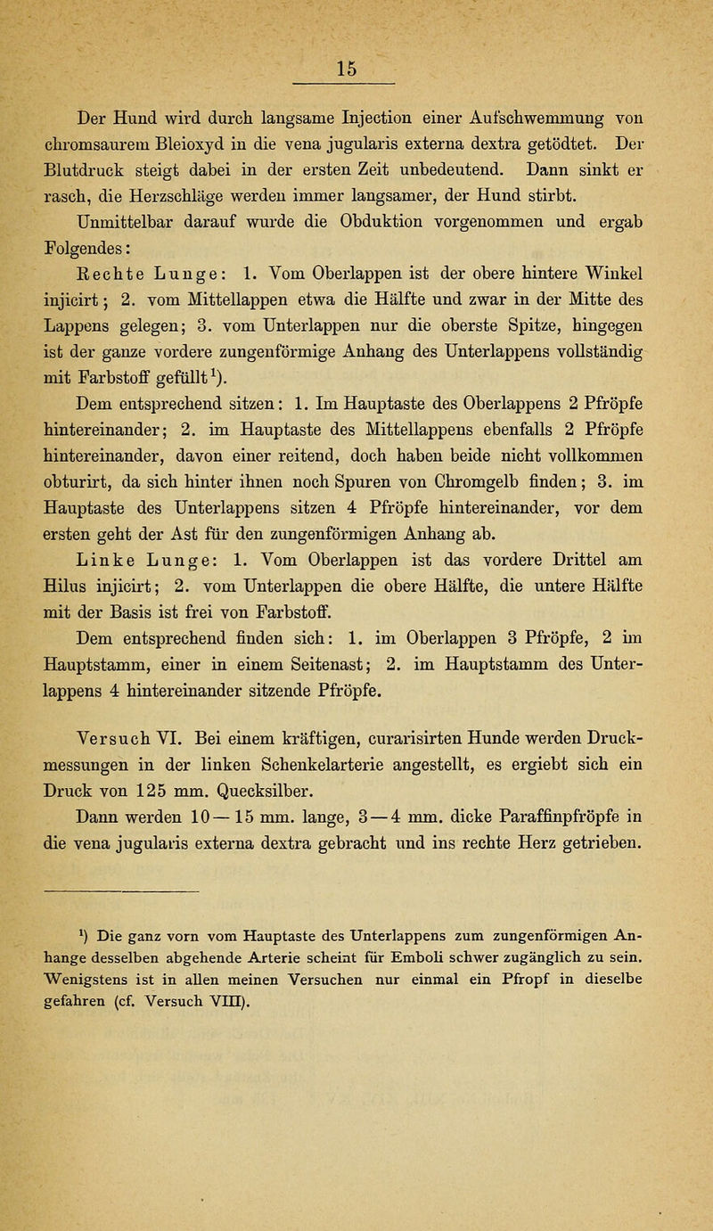 Der Hund wird durcli langsame Injection einer Aufschwemmung von chromsaurem Bleioxyd in die vena jugularis externa dextra getödtet. Der Blutdruck steigt dabei in der ersten Zeit unbedeutend. Dann sinkt er rasch, die Herzschläge werden immer langsamer, der Hund stirbt. Unmittelbar darauf wurde die Obduktion vorgenommen und ergab Folgendes: Rechte Lunge: 1. Vom Oberlappen ist der obere hintere Winkel injicirt; 2. vom Mittellappen etwa die Hälfte und zwar in der Mitte des Lappens gelegen; 3. vom Unterlappen nur die oberste Spitze, hingegen ist der ganze vordere zungenförmige Anhang des Unterlappens vollständig mit Farbstoff gefüllt^). Dem entsprechend sitzen: 1. Im Hauptaste des Oberlappens 2 Pfropfe hintereinander; 2. im Hauptaste des Mittellappens ebenfalls 2 Pfropfe hintereinander, davon einer reitend, doch haben beide nicht vollkommen obturirt, da sich hinter ihnen noch Spuren von Chromgelb finden; 3. im Hauptaste des Unterlappens sitzen 4 Pfropfe hintereinander, vor dem ersten geht der Ast für den zungenförmigen Anhang ab. Linke Lunge: 1. Vom Oberlappen ist das vordere Drittel am Hilus injicirt; 2. vom Unterlappen die obere Hälfte, die untere Hälfte mit der Basis ist frei von Farbstoff. Dem entsprechend finden sich: 1. im Oberlappen 3 Pfropfe, 2 im Hauptstamm, einer in einem Seitenast; 2. im Hauptstamm des Unter- lappens 4 hintereinander sitzende Pfropfe. Versuch VL Bei einem kräftigen, curarisirten Hunde werden Druck- messungen in der linken Schenkelarterie angestellt, es ergiebt sich ein Druck von 125 mm. Quecksilber. Dann werden 10— 15 mm. lange, 3 — 4 mm. dicke Paraffinpfröpfe in die vena jugularis externa dextra gebracht und ins rechte Herz getrieben. *) Die ganz vorn vom Hauptaste des Unterlappens zum zungenförmigen An- hange desselben abgehende Arterie scheint für Emboli schwer zugänglich zu sein. Wenigstens ist in allen meinen Versuchen nur einmal ein Pfropf in dieselbe gefahren (cf. Versuch VIII).