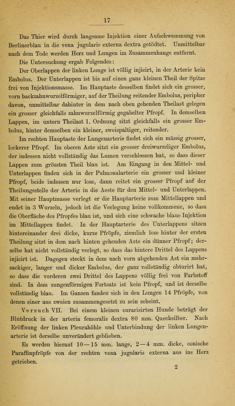 Das Thier wird durcli langsame Injektion einer Aiifscliwemmiing von Berlinerblau in die vena jugularis externa dextra getödtet. Unmittelbar nach dem Tode werden Herz und Lungen im Zusammenhange entfernt. Die Untersuchung ergab Folgendes : Der Oberlappen der linken Lunge ist völlig injicirt, in der Arterie kein Embolus. Der Unterlappen ist bis auf einen ganz kleinen Theü der Spitze frei von Injektionsmasse. Im Hauptaste desselben findet sich ein grosser, vorn backzahnwurzeKörmiger, auf der Theilung reitender Embolus, peripher davon, unmittelbar dahinter in dem nach oben gehenden Theilast gelegen ein grosser gleichfalls zaimwurzelförmig gegabelter Pfropf. In demselben Lappen, im untern Theilast 1. Ordnung sitzt gleichfalls ein grosser Em- bolus, hinter demselben ein kleiner, zweispaltiger, reitender. Im rechten Hauptaste der Lungenarterie findet sich ein massig grosser, lockerer Pfropf. Im oberen Aste sitzt ein grosser dreiwurzeliger Embolus, der indessen nicht vollständig das Lumen verschlossen hat, so dass dieser Lappen zum grössten Theü blau ist. x\m Eingang in den Mittel- und Unterlappen finden sich in der Pulmonalarterie ein grosser und kleiner Pfropf, beide indessen nur lose, dann reitet ein grosser Pfropf auf der TheilungssteUe der Arterie in die Aeste für den Mittel- und ünterlappen. Mit seiner Hauptmasse verlegt er die Hauptarterie zum MitteUappen und endet in 3 Wurzeln, jedoch ist die Verlegung keine vollkommene, so dass die Oberfläche des Pfropfes blau ist, und sich eine schwache blaue Injektion im MitteUappen findet. In der Hauptarterie des Uuterlappens sitzen hintereinander drei dicke, kurze Pfropfe, ziemlich lose hinter der ersten Theilung sitzt in dem nach hinten gehenden Aste ein dünner Pfropf; der- selbe hat nicht vollständig verlegt, so dass das hintere Drittel des Lappens injicirt ist. Dagegen steckt in dem nach vom abgehenden Ast ein mehr- zackiger, langer und dicker Embolus, der ganz vollständig obturirt hat, so dass die vorderen zwei Drittel des Lappens völlig frei von Farbstoff sind. In dem zungenförmigen Fortsatz ist kein Pfi-opf, und ist derselbe vollständig blau. Im Ganzen fanden sich in den Lungen 14 Pfropfe, von denen einer aus zweien zusammengesetzt zu sein scheint. Versuch YH. Bei einem kleinen curarisirten Hunde beträgt der Blutdruck in der arteria femoralis dextra 80 mm. Quecksilber. Nach Eröffnung der linken Pleurahöhle und Unterbindung der linken Liingen- arterie ist derselbe unverändert geblieben. Es werden hierauf 10—15 mm. lange, 2—4 mm. dicke, conische Paraffinpfröpfe von der rechten vena jugularis externa aus ins Herz getrieben.