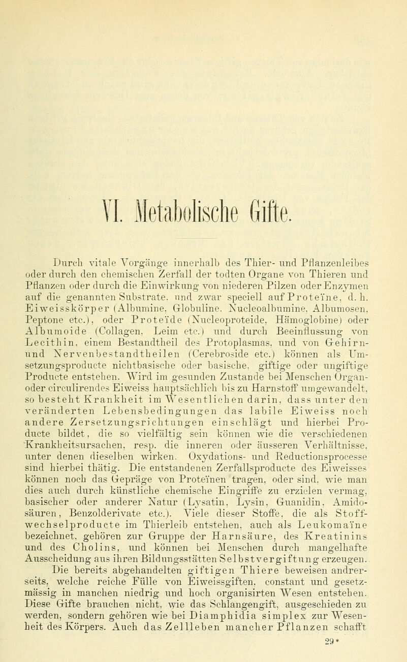 VI. Metabolische Gifte. Dnrcli vitale Vorgänge innerlialb des Thier- und Pflanzenleibes oder durch den chemiselien Zerfall der todten Organe von Thieren und Pflanzen oder durch die Einwirkung von niederen Pilzen oder Enzymen auf die genannten Substrate, nnd zwar speciell auf Proteine, d.h. Ei Weisskörper (Albumine. Globuline. Xucleoalbumine. Albumosen. Peptone etc.), oder Proteide (Nucleoproteide, Hämoglobine) oder Albumoide (Collagen. Leim etc.) und durch Beeinflussung von Lecithin, einem Bestandtheil des Protoplasmas, und von Gehirn- und Xervenbestandtheilen (Cerebroside etc.) können als Um- setzungsproducte nichtbasische oder basische, giftige oder ungiftige Producte entstehen. AVird im gesunden Zustande bei Menschen Organ- oder circulirendcs Ei weiss hauptsächlich bis zu Harnstoff umgewandelt, so besteht Krankheit im Wesentlichen darin, dass unter den veränderten Lebensbedingungen das labile Eiweiss noch andere Zersetzungsrichtungen einschlägt und hierbei Pro- ducte bildet, die so vielfältig sein können wie die verschiedenen Krankheitsursachen, resp. die inneren oder äusseren Verhältnisse. unter denen dieselben wirken. Oxydations- und Reductionsprocesse sind hierbei thätig. Die entstandenen Zerfallsproducte des Eiweisses können noch das Gepräge von Proteinen tragen, oder sind, wie man dies auch durch künstliche chemische Eingriffe zu erzielen vermas;. basischer oder anderer Natur (Lysatin, Lysin, Guanidin. Araido- säuren, Benzolderivate etc.). Viele dieser Stoffe, die als Stoff- wechselproducte im Thierleib entstehen, auch als Leukomaine bezeichnet, gehören zur Gruppe der Harnsäure, des Kreatinins und des Cholins, und können bei Menschen durch mangelhafte Ausscheidung aus ihren Bildungsstätten Selbstvergiftung erzeugen. Die bereits abgehandelten giftigen Thiere beweisen andrer- seits, welche reiche Fülle von Eiweissgiften. constant und gesetz- mässig in manchen niedrig und hoch organisirten Wesen entstehen. Diese Gifte brauchen nicht, wie das Schlangengift, ausgeschieden zu werden, sondern gehören wie bei Diamphidia simplex zur Wesen- heit des Körpers. Auch das Zellleben mancher Pflanzen schafft 29*
