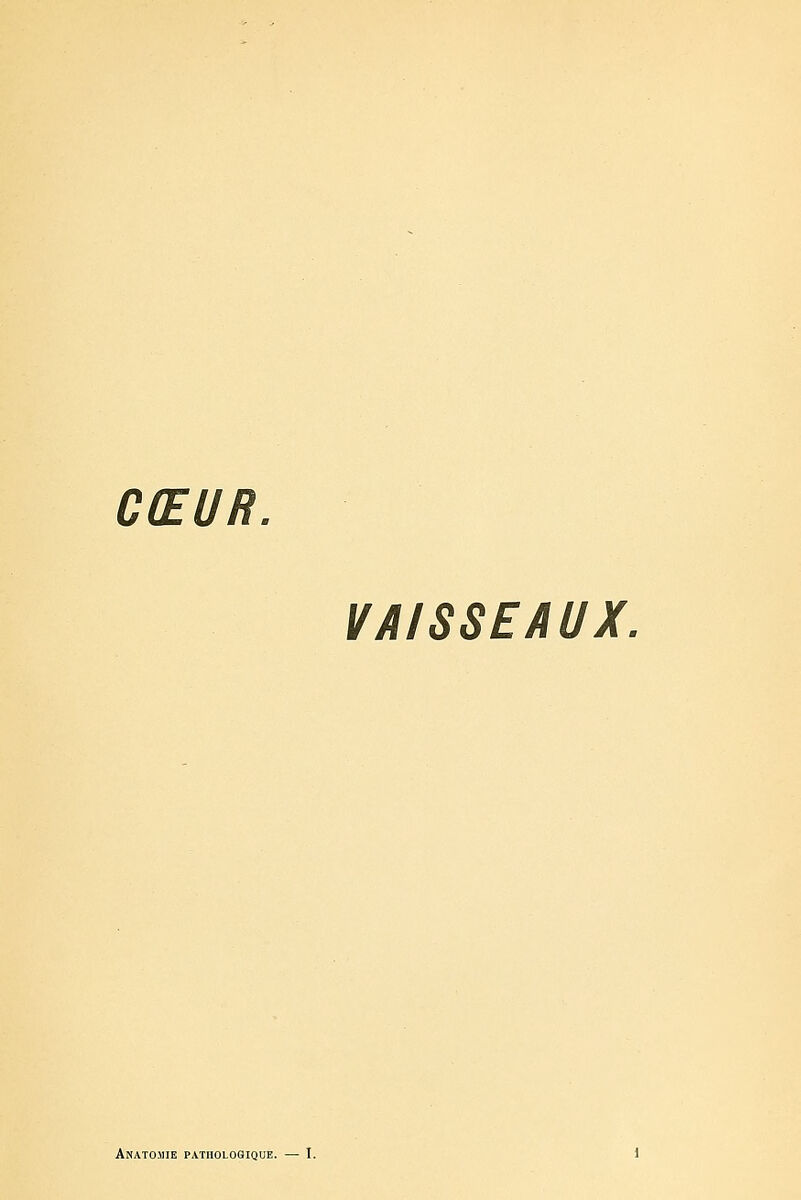 CŒUR. VAISSEAUX.