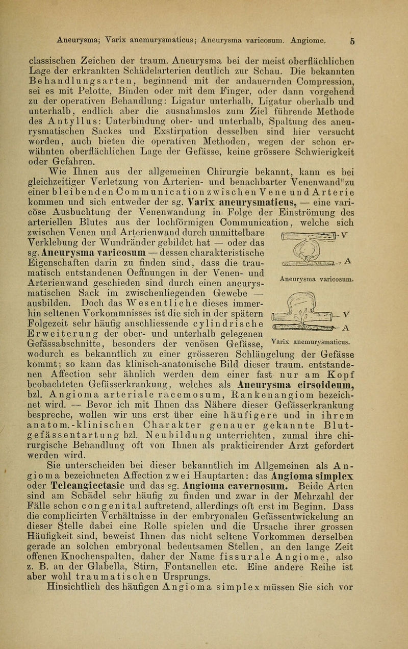 classischen Zeichen der träum. Aneurysma bei der meist oberflächlichen Lage der erkrankten Schädelarterien deutlich zur Schau. Die bekannten Behandlungsarten, beginnend mit der andauernden Compression, sei es mit Pelotte, Binden oder mit dem Finger, oder dann vorgehend zu der operativen Behandlung: Ligatur unterhalb, Ligatur oberhalb und unterhalb, endlich aber die ausnalimslos zum Ziel führende Methode des Antyllus: Unterbindung ober- und unterhalb, Spaltung des aneu- rysmatisclien Sackes und Exstirpation desselben sind hier versucht worden, auch bieten die operativen Methoden, v^egen der schon er- wähnten oberflächlichen Lage der Gefässe, keine grössere Schwierigkeit oder Gefahren. Wie Ihnen aus der allgemeinen Chirurgie bekannt, kann es bei gleichzeitiger Verletzung von Arterien- und benachbarter Venenwandzu einer bleiben denOommunicationzwischenVeneundArterie kommen und sich entweder der sg. Varix aiieurysmaticus, — eine vari- cöse Ausbuchtung der Venenwandung in Folge der Einströmung des arteriellen Blutes aus der lochförmigen Oommunication, welche sich zwischen Venen und Arterienwand durch unmittelbare Verklebung der Wundränder gebildet hat — oder das sg. Aneurysma varicosum — dessen charakteristische Eigenschaften darin zu finden sind, dass die trau- matisch entstandenen Oeffnungen in der Venen- und Arterienwand geschieden sind durch einen aneurys- ip-urysma vancosum. matischen Sack im zwischenliegenden Gewebe — ausbilden. Doch das Wes entliche dieses immer- hin seltenen Vorkommnisses ist die sich in der spätem Folgezeit sehr häufig anschliessende cylindrische Erweiterung der ober- und unterhalb gelegenen Gefässabschnitte, besonders der venösen Gefässe, '^^^ anemurysmaticus. wodurch es bekanntlich zu einer grösseren Schlängelung der Gefässe kommt; so kann das klinisch-anatomische Bild dieser träum, entstande- nen x^ffection sehr ähnlich werden dem einer fast nur am Kopf beobachteten Gefässerkrankung, welches als Aneurysma cirsoideum, bzl. Angioma arteriale racemosum, Bankenangiom bezeich- net wird. — Bevor ich mit Ihnen das Nähere dieser Gefässerkrankung bespreche, wollen wir uns erst über eine häufigere und in ihrem anatom.-klinischen Charakter genauer gekannte Blut- gefässentartung bzh Neubildung unterrichten, zumal ihre chi- rurgische Behandlung oft von Ihnen als prakticirender Arzt gefordert werden wird. Sie unterscheiden bei dieser bekanntlich im Allgemeinen als An- gioma bezeichneten Affection zwei Hauptarten: das Angioma Simplex oder Teleangiectasie und das sg. Angioma cayernosum. Beide Arten sind am Schädel sehr häufig zu finden und zwar in der Mehrzahl der Fälle schon congenital auftretend, allerdings oft erst im Beginn. Dass die complicirten Verhältnisse in der embryonalen Gefässentwickelung an dieser Stelle dabei eine Bolle spielen und die Ursache ihrer grossen Häufigkeit sind, beweist Ihnen das nicht seltene Vorkommen derselben gerade an solchen embryonal bedeutsamen Stellen, an den lange Zeit offenen Knochenspalten, daher der Name fissurale Angiome, also z. B. an der Glabella, Stirn, Fontanelleji etc. Eine andere Reihe ist aber wohl traumatischen Ursprungs. Hinsichtlich des häufigen Angioma simplex müssen Sie sich vor