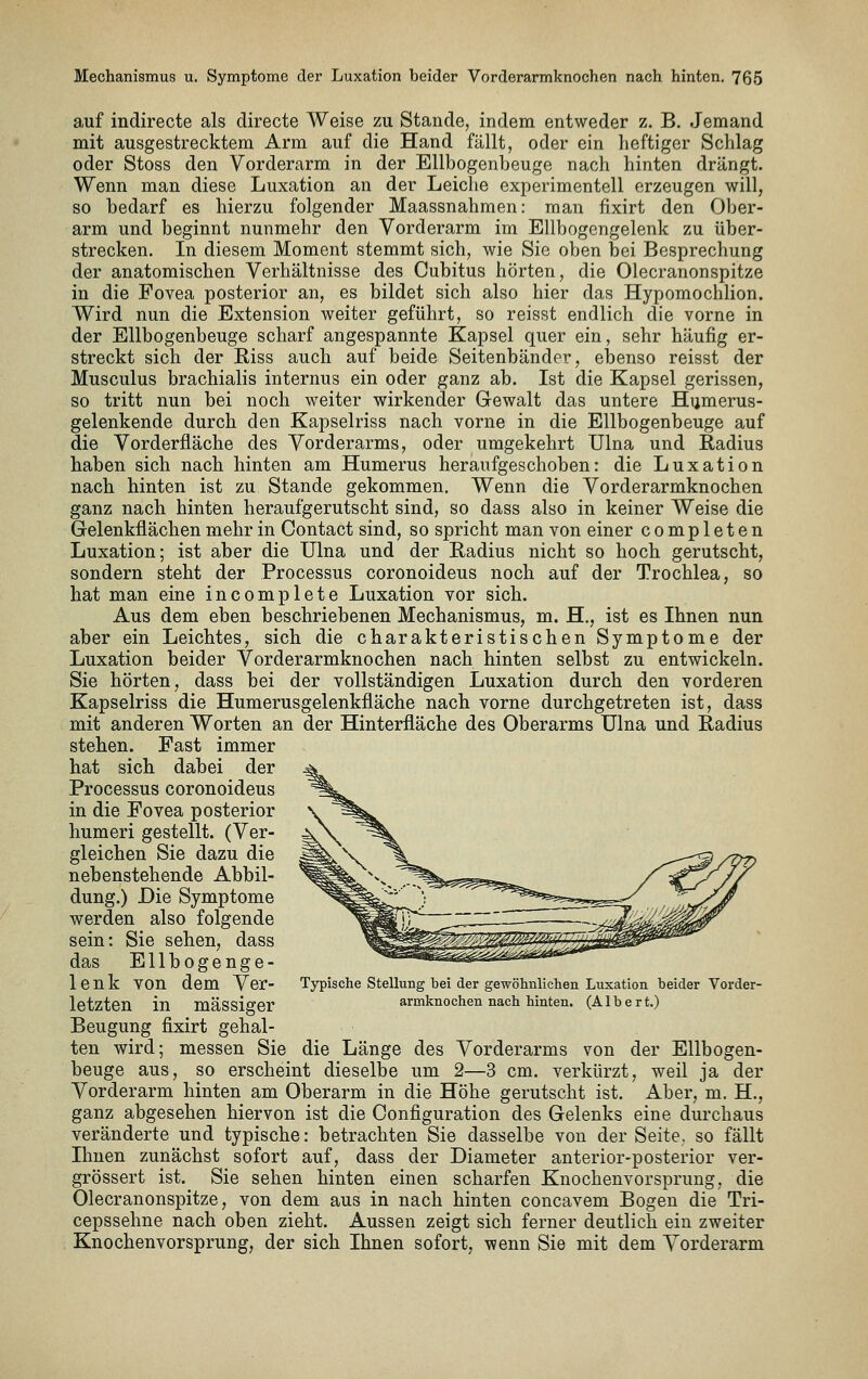 auf indirecte als directe Weise zu Stande, indem entweder z. B. Jemand mit ausgestrecktem Arm auf die Hand fällt, oder ein heftiger Schlag oder Stoss den Vorderarm in der Ellbogenbeuge nach hinten drängt. Wenn man diese Luxation an der Leiche experimentell erzeugen will, so bedarf es hierzu folgender Maassnahmen: man fixirt den Ober- arm und beginnt nunmehr den Vorderarm im Ellbogcngelenk zu über- strecken. In diesem Moment stemmt sich, wie Sie oben bei Besprechung der anatomischen Verhältnisse des Cubitus hörten, die Olecranonspitze in die Fovea posterior an, es bildet sich also hier das Hypomochlion. Wird nun die Extension weiter geführt, so reisst endlich die vorne in der Ellbogenbeuge scharf angespannte Kapsel quer ein, sehr häufig er- streckt sich der Eiss auch auf beide Seitenbänder, ei)enso reisst der Musculus brachialis internus ein oder ganz ab. Ist die Kapsel gerissen, so tritt nun bei noch weiter wirkender Gewalt das untere Hijmerus- gelenkende durch den Kapselriss nach vorne in die Ellbogenbeuge auf die Vorderfläche des Vorderarms, oder umgekehrt Ulna und Radius haben sich nach hinten am Humerus heraufgeschoben: die Luxation nach hinten ist zu Stande gekommen. Wenn die Vorderarmknochen ganz nach hinten heraufgerutscht sind, so dass also in keiner Weise die Gelenkflächen mehr in Oontact sind, so spricht man von einer completen Luxation; ist aber die Ulna und der Radius nicht so hoch gerutscht, sondern steht der Processus coronoideus noch auf der Trochlea, so hat man eine incomplete Luxation vor sich. Aus dem eben beschriebenen Mechanismus, m. H., ist es Ihnen nun aber ein Leichtes, sich die charakteristischen Symptome der Luxation beider Vorderarmknochen nach hinten selbst zu entwickeln. Sie hörten, dass bei der vollständigen Luxation durch den vorderen Kapselriss die Humerusgelenkfläche nach vorne durchgetreten ist, dass mit anderen Worten an der Hinterfläche des Oberarms Ulna und Radius stehen. Fast immer hat sieb dabei der Processus coronoideus in die Fovea posterior humeri gestellt. (Ver- gleichen Sie dazu die nebenstehende Abbil- dung.) Die Symptome werden also folgende sein: Sie sehen, dass das Ellbogenge- lenk von dem Ver- letzten in massiger Beugung fixirt gehal- ten wird; messen Sie die Länge des Vorderarms von der Ellbogen- beuge aus, so erscheint dieselbe um 2—3 cm. verkürzt, weil ja der Vorderarm hinten am Oberarm in die Höhe gerutscht ist. Aber, m. H., ganz abgesehen hiervon ist die Configuration des Gelenks eine durchaus veränderte und typische: betrachten Sie dasselbe von der Seite, so fällt Ihnen zunächst sofort auf, dass der Diameter anterior-posterior ver- grössert ist. Sie sehen hinten einen scharfen Knochenvorsprung, die Olecranonspitze, von dem aus in nach hinten concavem Bogen die Tri- cepssehne nach oben zieht. Aussen zeigt sich ferner deutlich ein zweiter Knochenvorsprung, der sich Ihnen sofort, wenn Sie mit dem Vorderarm Typische Stellung bei der ge-wölmlichen Luxation beider Vorder- armknochen nach hinten. (Albert.)