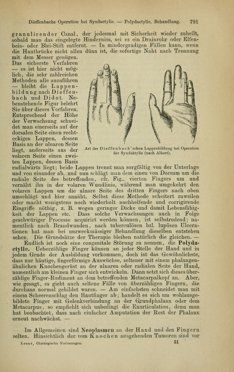 Art der Dieffenb ach'sehen Lappenbildung bei Operation der Syndalitylie (nach Albert). granulirender Canal, der jedesmal mit Sicherheit wieder zuheilt, sobald man das eingelegte Hinderniss, sei es ein Drainrohr oder Elfen- bein- oder Blei-Stift entfernt. — In mindergradigen Fällen kann, wenn die Hautbrücke nicht allzu dünn ist, die sofortige Naht nach Trennung mit dem Messer genügen. Das sicherste Verfahren — es ist hier nicht mög- lich, die sehr zahlreichen Methoden alle anzuführen — bleibt die Lappen- bildung nach Dieffen- bach und Didot. Ne- benstehende Figur belehrt Sie über dieses Verfahren. Entsprechend der Höhe der Verwachsung schnei- det man einerseits auf der dorsalen Seite einen recht- eckigen Lappen, dessen Basis an der ulnaren Seite liegt, anderseits aus der volaren Seite einen zwei- ten Lappen, dessen Basis radialwärts liegt; beide Lappen trennt man sorgfältig von der Unterlage und von einander ab, und nun schlägt man dem einen von Dorsum um die radiale Seite des betreffenden, cfr. Fig., vierten Fingers um und vernäht ihn in der volaren Wundlinie, während man umgekehrt den volaren Lappen um die ulnare Seite des dritten Fingers nach oben umschlägt und hier annäht. Selbst diese Methode scheitert zuweilen oder macht wenigstens noch wiederholt nachhelfende und corrigirende Eingriffe nöthig, z. B. wegen geringer Dicke und damit Lebensfähig- keit der Lappen etc. Dass solche Verwachsungen auch in Folge geschwüriger Processe acquirirt werden können, ist selbstredend; na- mentlich nach Brandwunden, nach tuberculösen bzl. lupösen Ulcera- tionen hat man bei unzweckmässiger Behandlung dieselben entstehen sehen. Die Grundsätze der Therapie bleiben natürlich die gleichen. — Endlich ist noch eine congenitale Störung zu nennen, die Polyda- ctylie. Ueberzäblige Finger können an jeder Stelle der Hand und in jedem Grade der Ausbildung vorkommen, doch ist das Gewöhnlichste, dass nur häutige, fingerförmige Auswüchse, seltener mit einem phalangen- ähnlichen Knochengerüst an der ulnaren oder radialen Seite der Hand, namentlich am kleinen Finger sich entwickeln. Dann setzt sich dieses über- zählige Finger-Eudiment an dem betreffenden Metacarpalkopf an. Aber, wie gesagt, es giebt auch seltene Fälle von überzähligen Fingern, die durchaus normal gebildet waren. — Am einfachsten schneidet man mit einem Scheerenschlag den Hautfinger ab; handelt es sich um wohlausge- bildete Finger mit Gelenkverbindung an der Gi'undphalanx oder dem Metacarpus, so empfiehlt sich unbedingt die Exarticulation, denn man hat beobachtet, dass nach einfacher Amputation der Best der Phalanx erneut nachwächst. — Im Allgemeinen sind Neoplasmen an der Hand und den Fingern selten. Hinsichtlich der vom Knochen ausgehenden Tumoren sind vor Leser, Chirurgische Vorlesungen. 51