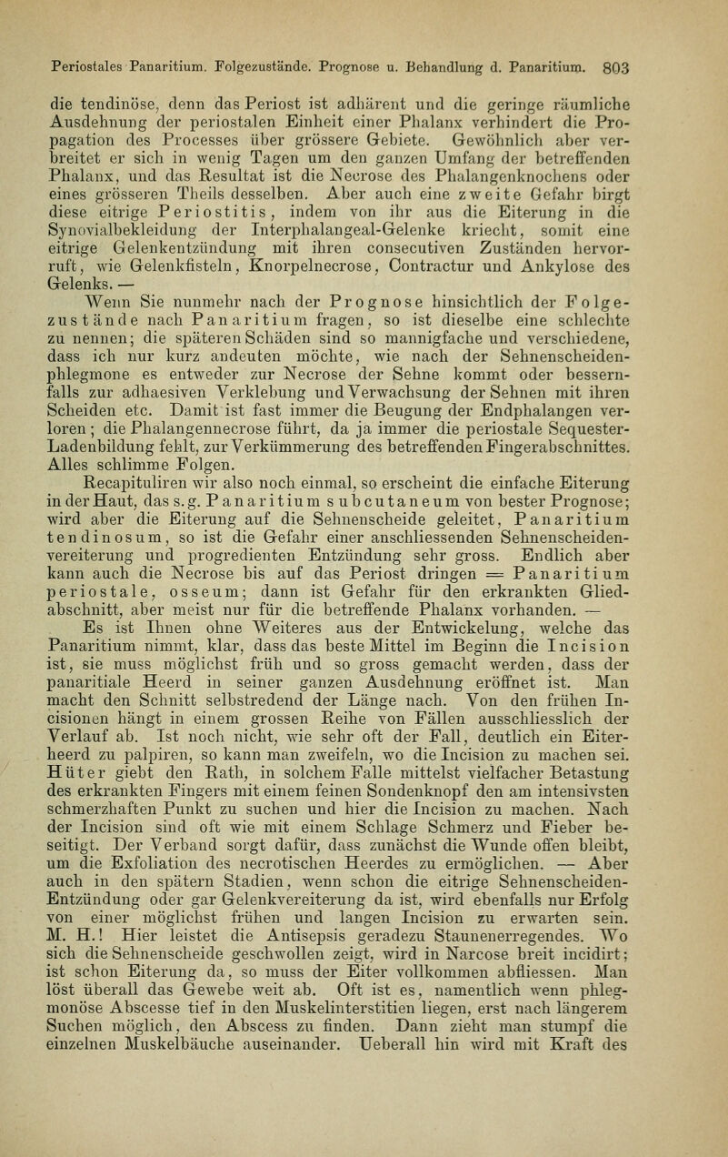 die tendinöse, denn das Periost ist adliärent und die geringe räumliche Ausdehnung der periostalen Einheit einer Phalanx verhindert die Pro- pagation des Processes über grössere Gebiete. Gewöhnlich aber ver- breitet er sich in wenig Tagen um den ganzen Umfang der betreffenden Phalanx, und das Resultat ist die Necrose des Phalangenknochens oder eines grösseren Theils desselben. Aber auch eine zweite Gefahr birgt diese eitrige Periostitis, indem von ihr aus die Eiterung in die Synovialbekleidung der Interphalangeal-Gelenke krieclit, somit eine eitrige Gelenkentzündung mit ihren consecutiven Zuständen hervor- ruft, wie Gelenkfisteln, Knorpelnecrose, Contractur und Ankylose des Gelenks. — Wenn Sie nunmehr nach der Prognose hinsichtlich der Folge- zustände nach Panaritium fragen, so ist dieselbe eine schlechte zu nennen; die späteren Schäden sind so mannigfache und verschiedene, dass ich nur kurz andeuten möchte, wie nach der Sehnenscheiden- phlegmone es entweder zur Necrose der Sehne kommt oder bessern- falls zur adhaesiven Verklebung und Verwachsung der Sehnen mit ihren Scheiden etc. Damit ist fast immer die Beugung der Endphalangen ver- loren ; die Phalangennecrose führt, da ja immer die periostale Sequester- Ladenbildung fehlt, zur Verkümmerung des betreffenden Fingerabschnittes. Alles schlimme Folgen. Recapituliren wir also noch einmal, so erscheint die einfache Eiterung in der Haut, das s.g. Panaritium sulDcutaneum von bester Prognose; wird aber die Eiterung auf die Sehnenscheide geleitet, Panaritium tendinosum, so ist die Gefahr einer anschliessenden Sehnenscheiden- vereiterung und progredienten Entzündung sehr gross. Endlich aber kann auch die Necrose bis auf das Periost dringen = Panaritium periostale, osseum; dann ist Gefahr für den erkrankten Glied- abschnitt, aber meist nur für die betreffende Phalanx vorhanden. ~ Es ist Ihnen ohne Weiteres aus der Entwickelung, welche das Panaritium nimmt, klar, dass das beste Mittel im Beginn die Incision ist, sie muss möglichst früh und so gross gemacht werden, dass der panaritiale Heerd in seiner ganzen Ausdehnung eröffnet ist. Man macht den Schnitt selbstredend der Länge nach. Von den frühen In- cisionen hängt in einem grossen Reihe von Fällen ausschliesslich der Verlauf ab. Ist noch nicht, wie sehr oft der Fall, deutlich ein Eiter- heerd zu palpiren, so kann man zweifeln, wo die Incision zu machen sei. Hüter giebt den Rath, in solchem Falle mittelst vielfacher Betastung des erkrankten Fingers mit einem feinen Sondenknopf den am intensivsten schmerzhaften Punkt zu suchen und hier die Incision zu machen. Nach der Incision sind oft wie mit einem Schlage Schmerz und Fieber be- seitigt. Der Verband sorgt dafür, dass zunächst die Wunde offen bleibt, um die Exfoliation des necrotischen Heerdes zu ermöglichen. — Aber auch in den spätem Stadien, wenn schon die eitrige Sehnenscheiden- Entzündung oder gar Gelenkvereiterung da ist, wird ebenfalls nur Erfolg von einer möglichst frühen und langen Incision zu erwarten sein. M. H.! Hier leistet die Antisepsis geradezu Staunenerregendes. Wo sich die Sehnenscheide geschwollen zeigt, wird in Narcose breit incidirt; ist schon Eiterung da, so muss der Eiter vollkommen abfliessen. Man löst überall das Gewebe weit ab. Oft ist es, namentlich wenn phleg- monöse Abscesse tief in den Muskelinterstitien liegen, erst nach längerem Suchen möglich, den Abscess zu finden. Dann zieht man stumpf die einzelnen Muskelbäuche auseinander. Ueberall hin wird mit Kraft des