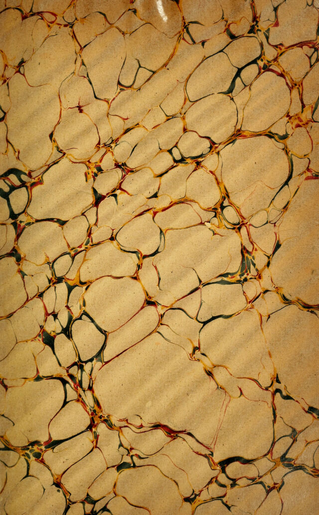 digitised image 3