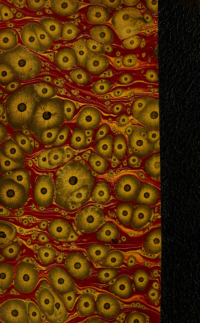 föi 5; t^-^-'/' i^^ -öX^j^-^S^^^ ' Ä^^ it' 1^«^ Wi^^