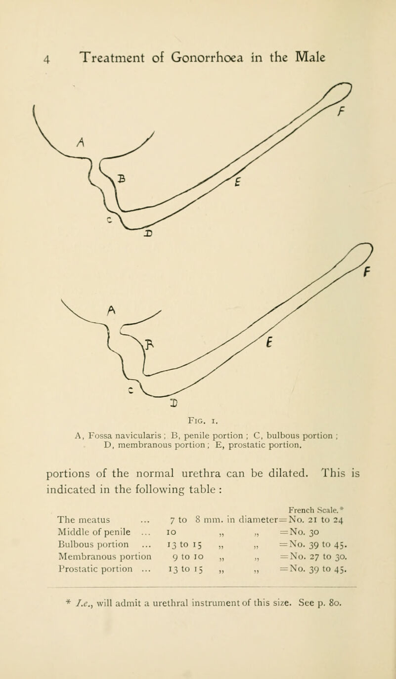 Fig. I. A, Fossa navicularis ; B, penile portion ; C, bulbous portion ; D, membranous portion; E, prostatic portion. portions of the normal urethra can be dilated. This is indicated in the following table : The meatus Middle of penile ... Bulbous portion Membranous portion Prostatic portion ... French Scale.* 7 to 8 mm. in diametcr=No. 21 to 24 10 „ „ =No. 30 13 to 15 „ „ =No. 391045. 9 to 10 „ „ =No. 27 to 30. 13 to 15 „ „ =No. 391045. * I.c.y will admit a urethral instrument of this size. See p. 80.