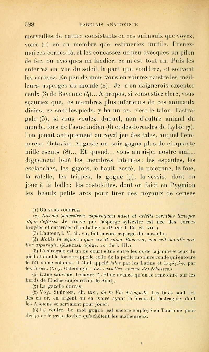 merveilles de nature consistants en ces animaulx que voyez, voire (i) en un membre que estimeriez inutile. Prenez- moi ces cornes-là, et les concassez un peu avecques un pilon de fer, ou avecques un landier, ce m'est tout un. Puis les enterrez en vue du soleil, la part que vouldrez, et souvent les arrosez. En peu de mois vous en voirrez naistreles meil- leurs asperges du monde (2). Je n'en daignerois excepter ceulx (3) de Ravenne (4)... A propos, si vousestiez clerc, vous sçauriez que, es membres plus inférieurs de ces animaulx divins, ce sont les pieds, y ha un os, c'est le talon, l'astra- gale (5), si vous voulez, duquel, non d'aultre animal du monde, fors de l'asne indian (6) et desdorcades de Lybie (7), l'on jouait antiquement au royal jeu des taies, auquel l'em- pereur Octaviàn Auguste un soir gagna plus de cinquante mille escuts (8)... Et quand... vous aurai-je, nostre ami... dignement loué les membres internes : les espaules, les esclanches, les gigots, le hault costé, la poictrine, le foie, la râtelle, les trippes, la gogue (9), la vessie, dont on joue à la balle ; les costelettes, dont on faict en Pygmion les beaulx petits arcs pour tirer des noyaulx de cerises (1) Où vous voudrez. (2) Invenio {sylveslrem asparagum) nasci el arielis cornibus iusisque alque defossis. Je trouve que l'asperge sylvestre est née des cornes broyées et enterrées d'un bélier. » (Pline, 1. IX, ch. viii.) (3) L'auteur, 1. V, ch. vu, fait encore asperge du masculin, (4) Mollis in sequorea quse creuil spina Ravenna, non eril inaullis gra^ lier asparagis. (Martial, épigr. xxi du I. III.) (5) L'astragale est un os court situé entre les os de la jambe et ceux du pied et dont la forme rappelle celle de la petite moulure ronde qui entoure le fût d'une colonne. Il était appelé talus par les Latins et àaTpàyxXoç par les Grecs. (Voy. Ostéologie : Les rasselles, comme des échasses.) (6) L'âne sauvage, l'onagre (?). Pline avance qu'on le rencontre sur les bords de l'Indus (aujourd'hui le Sind). (7) La gazelle dorcas. (8) Voy. Suétone, ch. lxxi, de la Vie d'Auguste. Les taies sont les dés en or, en argent ou en ivoire ayant la forme de l'astragale, dont les Anciens se servaient pour jouer. (9) Le ventre. Le mot gogue est encore employé en Touraine pour désigner le gras-double qu'achètent les malheureux.