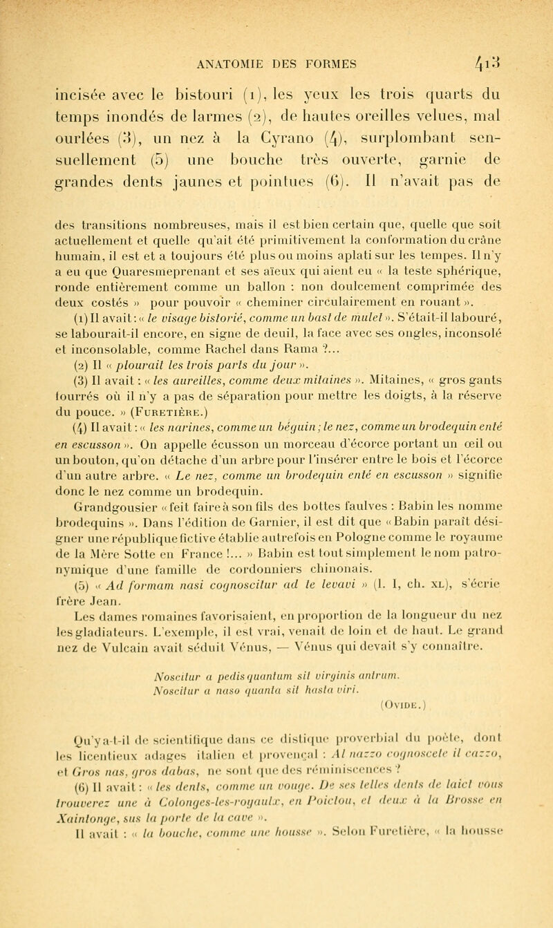 incisée avec le bistouri (i), les yeux les trois quarts du temps inondés de larmes (2), de hautes oreilles velues, mal ourlées (3), un nez à la Cyrano (4), surplombant sen- suellement (5) une bouche très ouverte, garnie de grandes dents jaunes et pointues (G). Il n'avait pas de des transitions nombreuses, mais il est bien certain que, quelle que soit actuellement et quelle qu'ait été primitivement la conformation du crâne humain, il est et a toujours été plus ou moins aplati sur les tempes. Il n'y a eu que Quaresmeprenant et ses aïeux qui aient eu « la teste sphérique, ronde entièrement comme un ballon : non doulcement comprimée des deux costés » pour pouvoir « cheminer circulairement en rouant». (i)Il avait: « le visage bislovié, comme un baslde mulet >k S'était-il labouré, se labourait-il encore, en signe de deuil, la face avec ses ongles, inconsolé et inconsolable, comme Rachel dans Rama ?... (2) Il « plourait les Irois paris du jour ». (3) II avait : « les aureilles, comme deux mitaines ». Mitaines, « gros gants fourrés où il n'y a pas de séparation pour mettre les doigts, à la réserve du pouce. » (FURETIÈRE.) (4) Il avait : « les narines, comme un béguin ; le nez, comme un brodequin enté en escusson ». On appelle écusson un morceau d'écorce portant un œil ou un bouton, qu'on détache d'un arbre pour l'insérer entre le bois et l'écorce d'un autre arbre. « Le nez, comme un brodequin enté en escusson » signifie donc le nez comme un brodequin. Grandgousier «feit faireàsonfds des bottes faulves : Babin les nomme brodequins ». Dans l'édition de Garnier, il est dit que «Babin paraît dési- gner une république fictive établie autrefois en Pologne comme le royaume de la Mère Sotte en France !... » Babin est tout simplement le nom patro- nymique d'une famille de cordonniers chinonais. (5) X Ad formam nasi cognoscilur ad le levavi » (1. I, ch. xl), s'écrie frère Jean. Les dames romaines favorisaient, en proportion de la longueur du nez les gladiateurs. L'exemple, il est vrai, venait de loin et de haut. Le grand nez de Vulcain avait séduit Vénus, — Vénus qui devait s'y connaître. Noscilur a jje(liH(juanlum sil uifyinis anlriim. Noacilur a naso (juanla ail IiksUi viri. (OviDt;.) Qu'ya-t-il de scientifique dans ce distique proverbial du poète, dont les licenlieux adages italien et provenral : Al na::o cognoscelc il cazzo, et Gros nas, gros dabas, ne sont que des réminiscences ? (6) Il avait : •< les dénis, comme un vouge. De ses telles dénis di- laid rous trouverez une à Colonges-les-royaulx, en Poiclou, cl dm.,- à la IJrossc en Xainlonge, sus la porte de la cave ». Il avait : « la bouche, comme une housse <>. Selon Furetière, • la housse