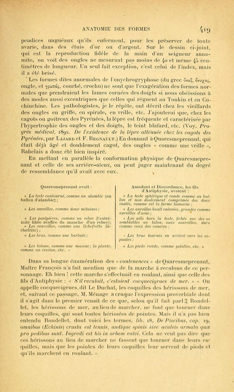 pendices unguéaux qu'ils enferment, poui' les préserver de toute avarie, dans des étuis d'or ou d'argent. Sur le dessin ci-joint, qui est la reproduction fidèle de la main d'un seigneur anna- mite, on voit des ongles ne mesurant pas moins de 40 et même 45 cen- timètres de longueur. Un seul l'ait exception, c'est celui de l'index, mais il a été brisé. ' Les formes dites anormales de l'onychrogryphose (du grec ovuÇ, ovux.°î> ongle, et YpuTidj, courbé, crochu) ne sont que l'exagération des formes nor- males que prendraient les lames cornées des doigts si nous obéissions à des modes aussi excentriques que celles c{ui régnent au Tonkin et en Co- chinchine. Les pathologistes, je le répète, ont décrit chez les vieillards des ongles en griffe, en spirale, en vrille, etc. J'ajouterai que, chez les cagots ou goitreux des Pyrénées, la lèpre est fréquente et caractérisée par l'hypertrophie des ongles et des doigts, le teint blafard, etc. (Voy. Pro- grès médical, 1892. De rexislence de la lèpre alténuée chez les cagots des Pyrénées, par Lajard et F. Regnault.) En donnant à-Quaresmeprenant, qui était déjà âgé et doublement cagot, des ongles « comme une vrille », Rabelais a donc été bien inspiré. En mettant en parallèle la conformation physic{ue de Quaresmepre- nant et celle de ses arrière-aïeux, on peut juger maintenant du degré de ressemblance qu'il avait avec eux. y Quaresmeprenant avait : « La lesle conlùarné, comme un alambic (un ballon d'alambic) ; « Les aureilles, comme deux mitaines ; u Les paulpières, comme un rebec (l'extré- mité libre renflée du manche d'un rebec]; « Les sourcilles, comme une lichefrelle (lè- chefrite) ; « Les bras, comme une barbule : « Les lalons, comme une massue; la plante, comme un creziou, etc. » Amodunt et Discordance, les fils d'Antiphysie, avaient : « La leste sphérique et ronde comme un bal- lon et non doulcemenl comprimée des deux coslès, comme est la forme humaine ; « Les aureilles hault enlevées, grandes comme aureilles d'asne ; * « Les œils hors la lesle, fichés sus des os semblables au talon, sans sourcilles, durs comme ceux des cancres ; Il Les bras tournés en arrière vers les es- paules ; « Les pieds ronds, comme pelotles, aie. » Dans sa longue énumération des f( conlenences » deQuaresmeprenant, Maître François n'a fait mention que de la marche k reculons de ce per- sonnage. Eh bien ! cette marche s'effectuait en roulant, ainsi que celle des lils d'Antiphysie : « S'il reciiloil, cesloienl cocguecigrues de mer. » « On appelle cocquecigrues,dit Le Duchat, les coquilles des hérissons de mer, et, suivant ce passage, M. Ménage a cruque l'expression proverbiale dont il s'agit dans le premier venait de ce que, selon qu'il fait pari 2 Rondel- let, les hérissons de mer, au lieu de marcher, ne font cpie tourner dans leurs coquilles, (pii sont loules hérissées de pointes. Mais il na pas bien entendu Uondellet, dont voici les termes, lib. 18, De Piscibus, cap. 19, omnibus {Echinis) crusla est tenais, undifjue spinis sive aciileis arma ta giuc pro pi'dibus sunl. Ingredi est liis in orbem voici. Cela ne veut pas dire que ces héi'issons au lieu dc' mai'cher ne fassent que tourner dans leurs co (piilles, mais que les pointes de leurs coquilles leui' servi'iil de pieds et qu'ils inar(;hent eu roulant. »