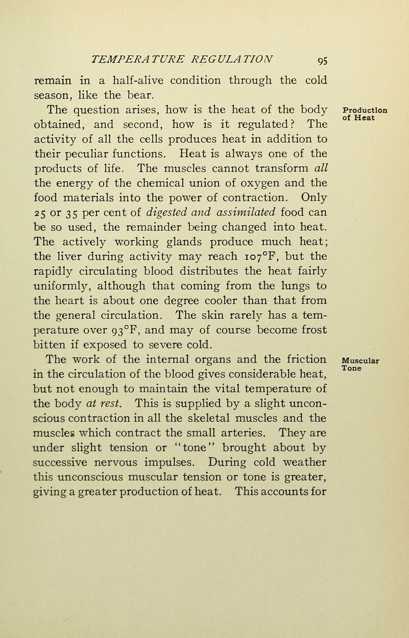 remain in a half-alive condition through the cold season, like the bear. The question arises, how is the heat of the body obtained, and second, how is it regulated? The activity of all the cells produces heat in addition to their peculiar functions. Heat is always one of the products of life. The muscles cannot transform all the energy of the chemical union of oxygen and the food materials into the power of contraction. Only 25 or 35 per cent of digested and assimilated food can be so used, the remainder being changed into heat. The actively working glands produce much heat; the liver during activity may reach io7°F, but the rapidly circulating blood distributes the heat fairly uniformly, although that coming from the lungs to the heart is about one degree cooler than that from the general circulation. The skin rarely has a tem- perature over 93°F, and may of course become frost bitten if exposed to severe cold. The work of the internal organs and the friction in the circulation of the blood gives considerable heat, but not enough to maintain the vital temperature of the body at rest. This is supplied by a slight uncon- scious contraction in all the skeletal muscles and the muscles which contract the small arteries. They are under slight tension or tone brought about by successive nervous impulses. During cold weather this unconscious muscular tension or tone is greater, giving a greater production of heat. This accounts for Production of Heat Muscular Tone